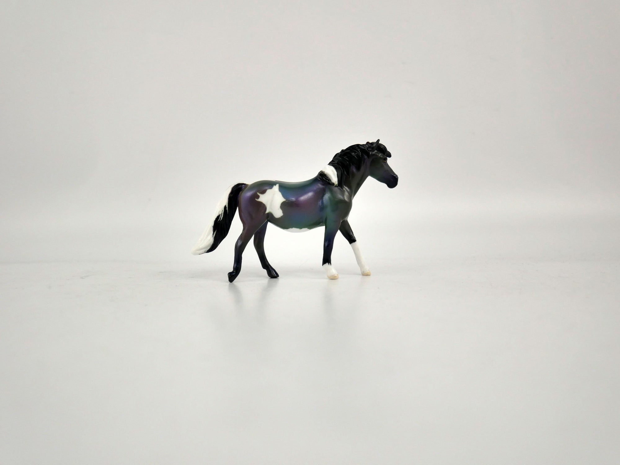 What is inside the Box>Fields of Lavender Chip  12/20