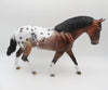 Felix-OOAK Bay Appaloosa Irish Draft by Dawn Quick P&amp;C 23