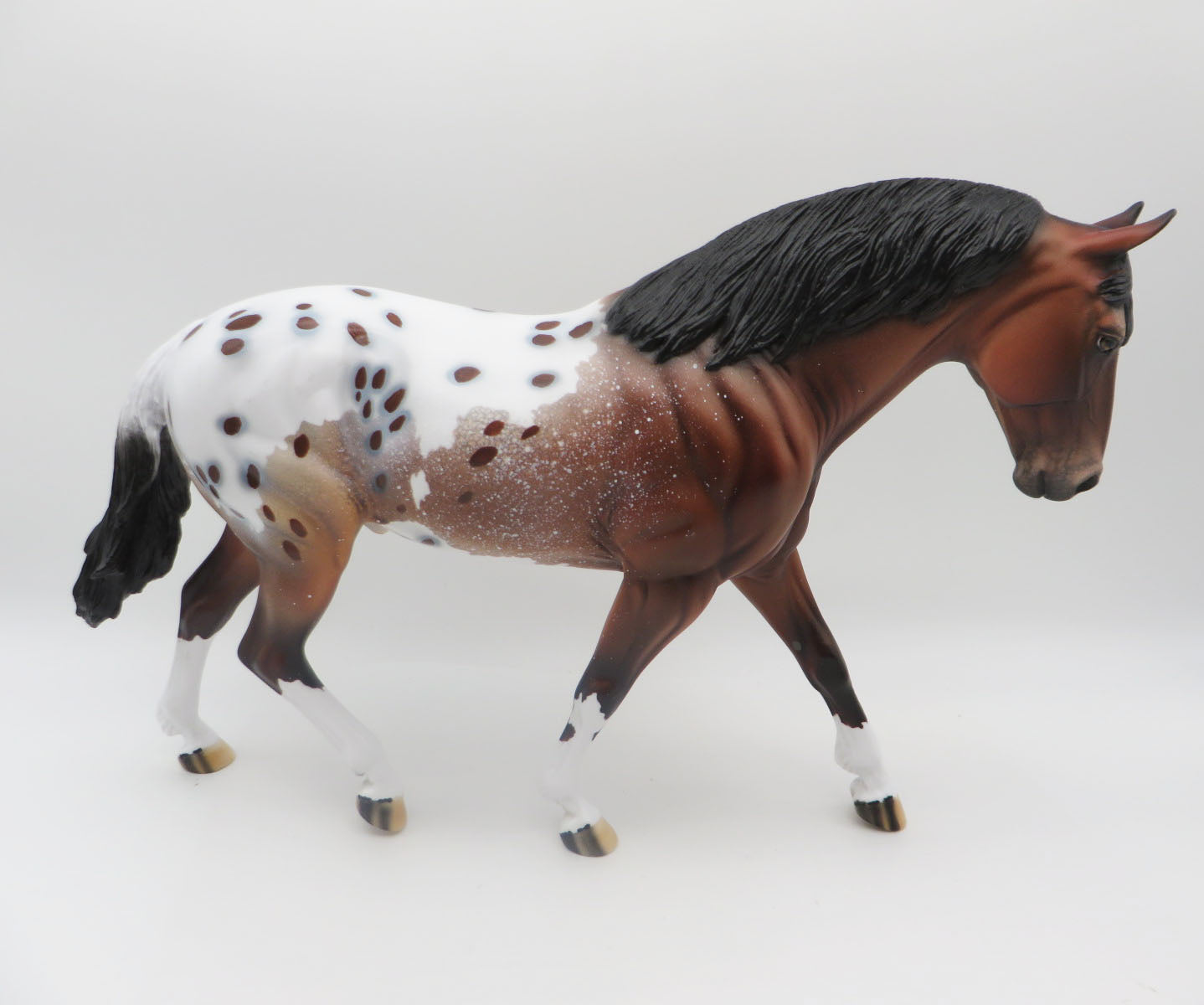 Felix-OOAK Bay Appaloosa Irish Draft by Dawn Quick P&C 23