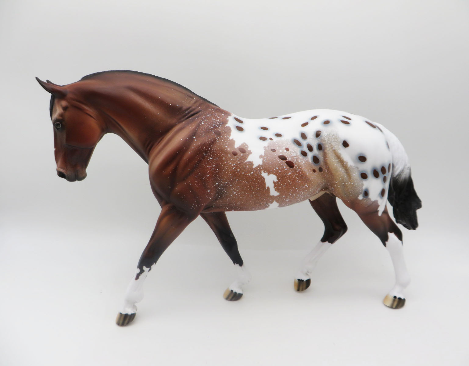 Felix-OOAK Bay Appaloosa Irish Draft by Dawn Quick P&amp;C 23