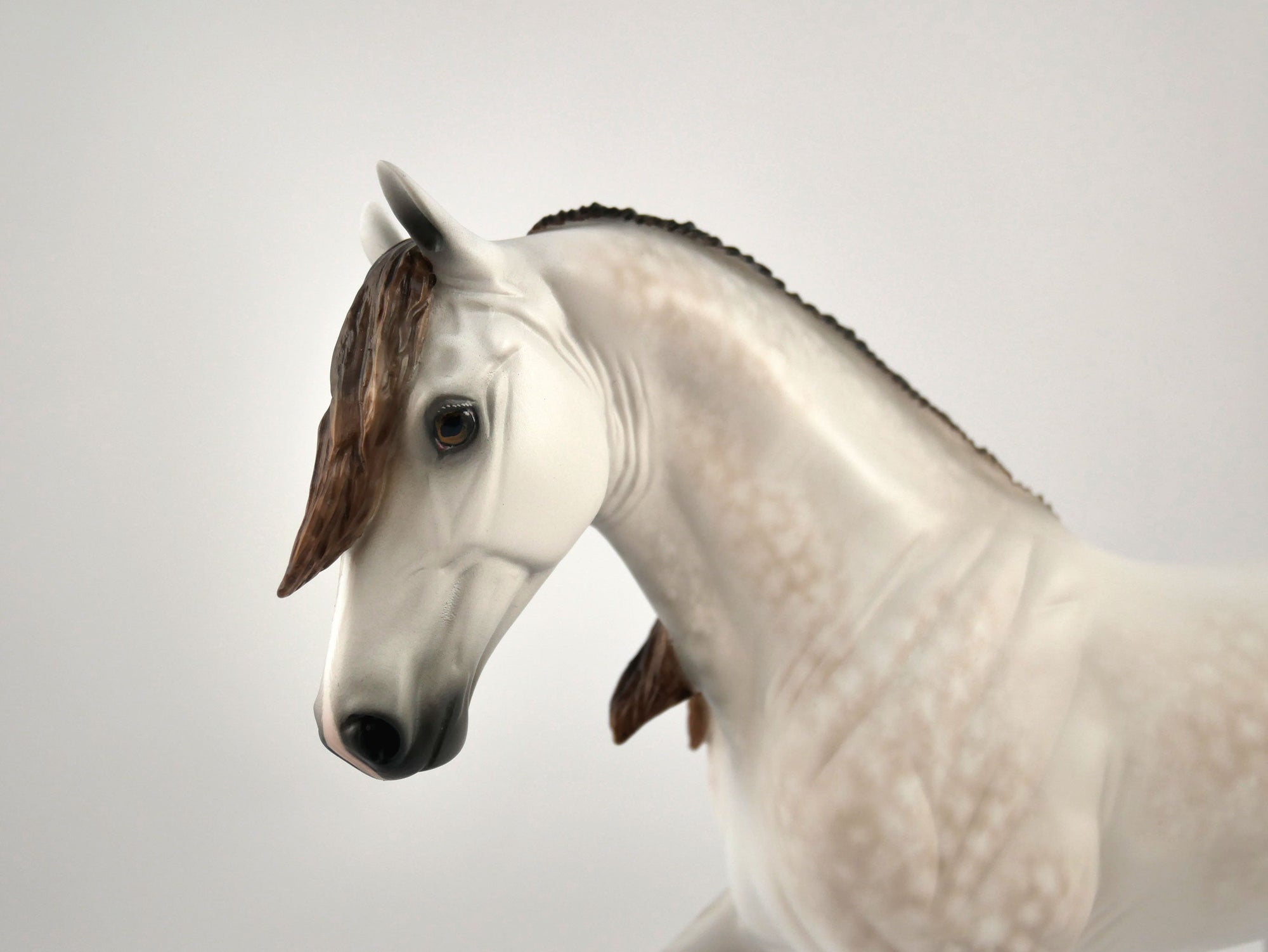 FELTON-OOAK MULBERRY TWH BY SHERYL LEISURE 11/11/20