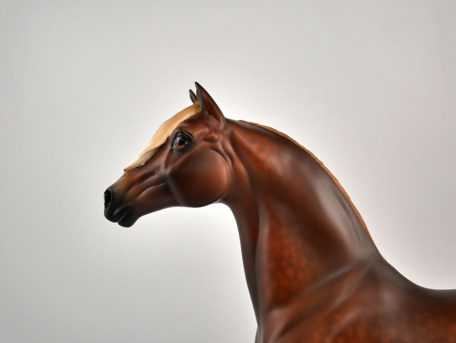 Fezziwig-OOAK Dapple Chestnut Morgan By Sheryl Leisure 12/15/20