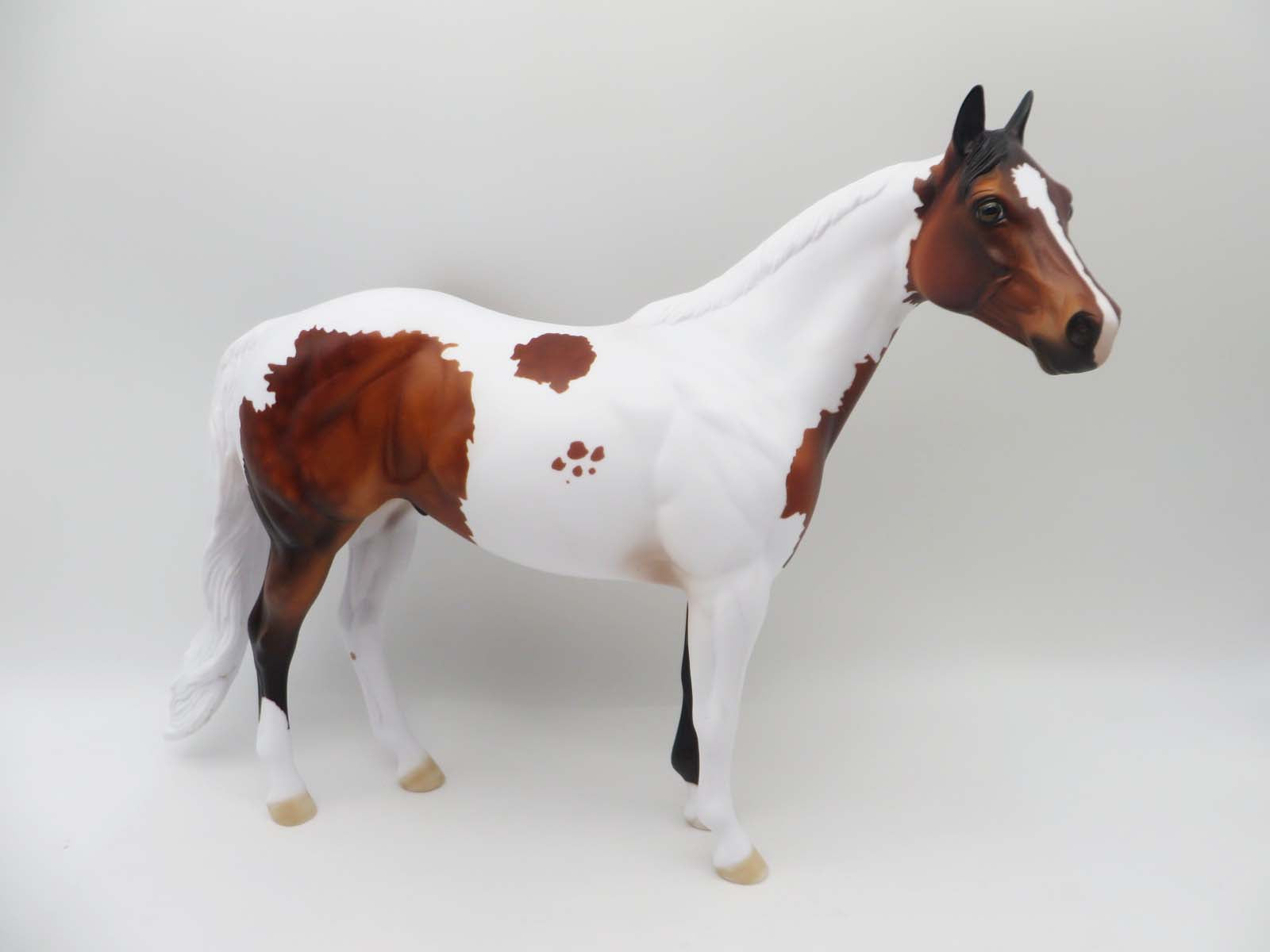 Fiddle Faddle OOAK Bay Tobiano Ideal Stock Horse By Dawn Quick SHCF23