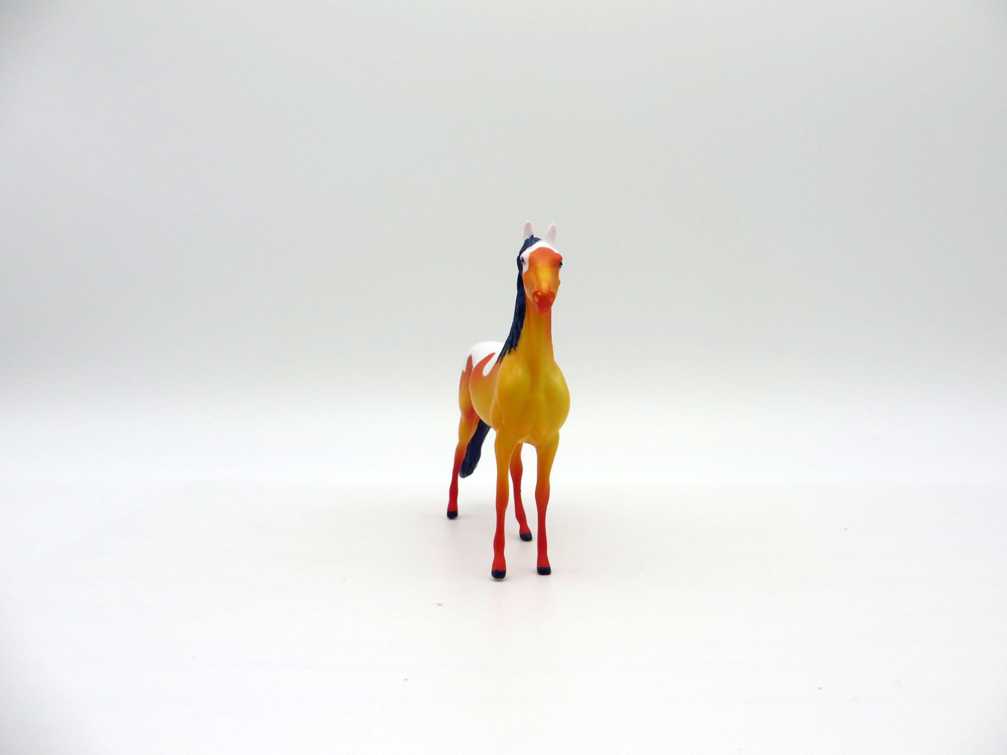 Fidelis-OOAK Morgan Chip Deco Sea Slug Painted By Ellen Robbins 7/16/21