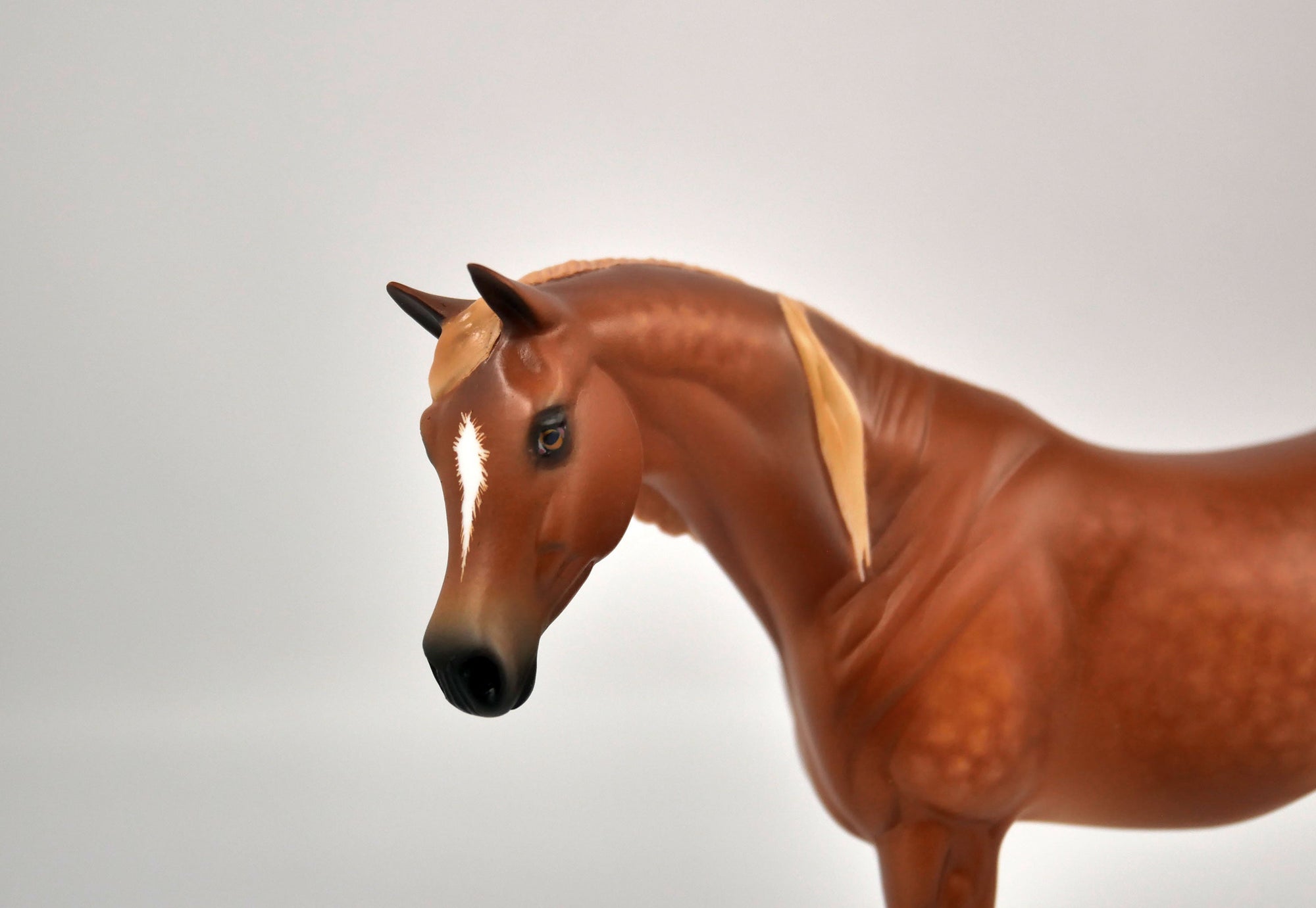 Figgy Pudding-Dapple Chestnut Arabian Pebbles Painted By Sheryl Leisure 12/24/20