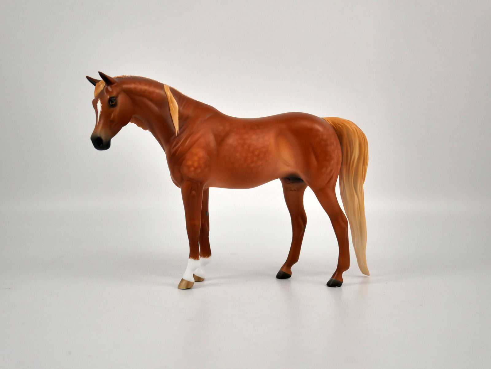 Figgy Pudding-Dapple Chestnut Arabian Pebbles Painted By Sheryl Leisure 12/24/20