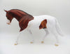 Finicky-OOAK Bay Paint Irish Draft P&amp;C 23