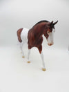 Finicky-OOAK Bay Paint Irish Draft P&amp;C 23