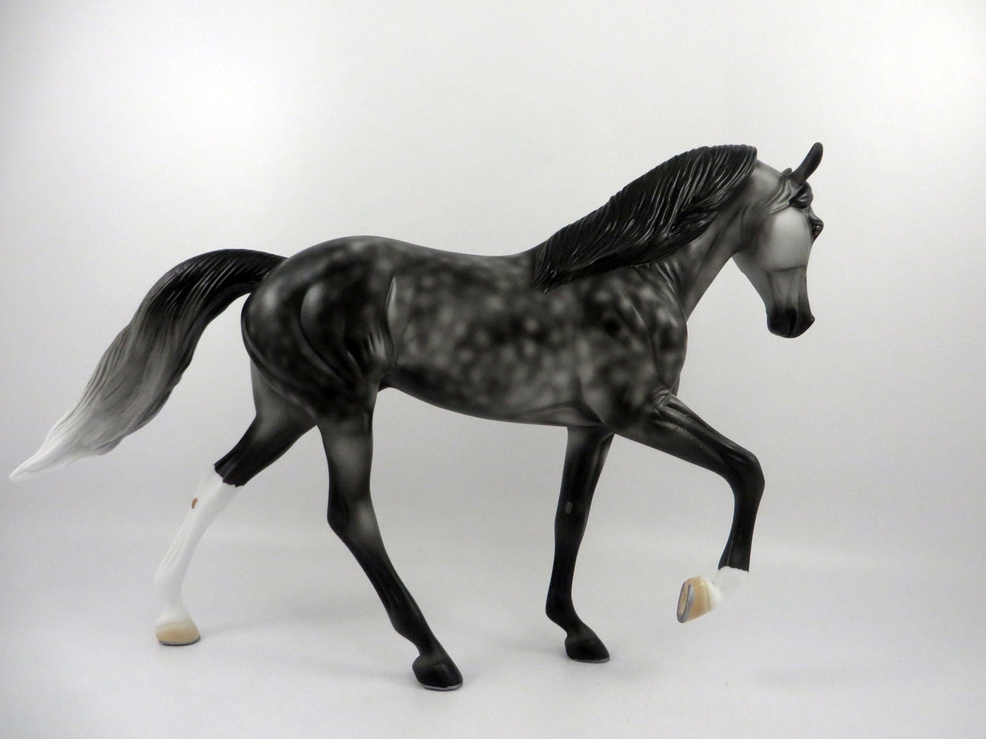 Finnegan-OOAK Dapple Grey Tennessee Walker  2/25/21