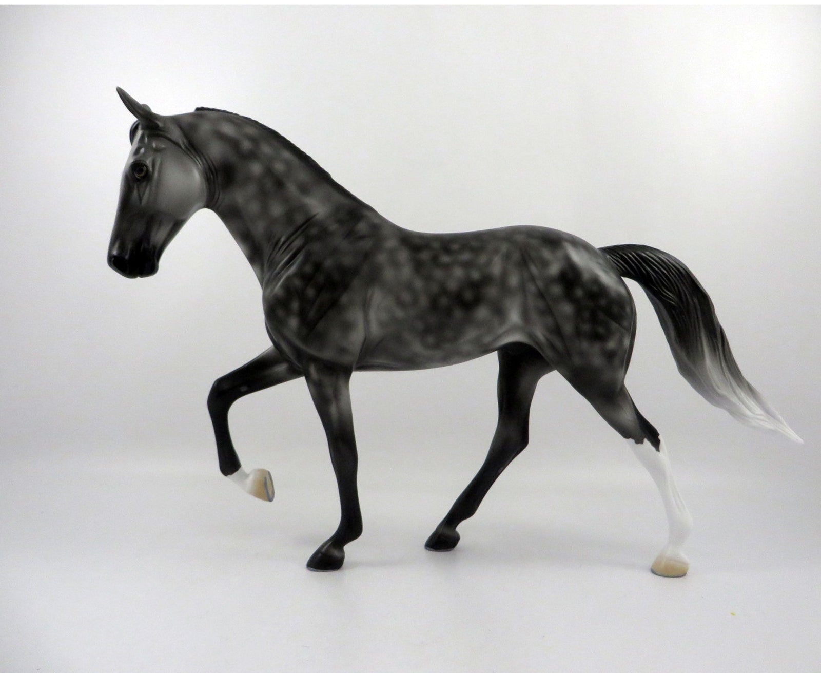 Finnegan-OOAK Dapple Grey Tennessee Walker  2/25/21