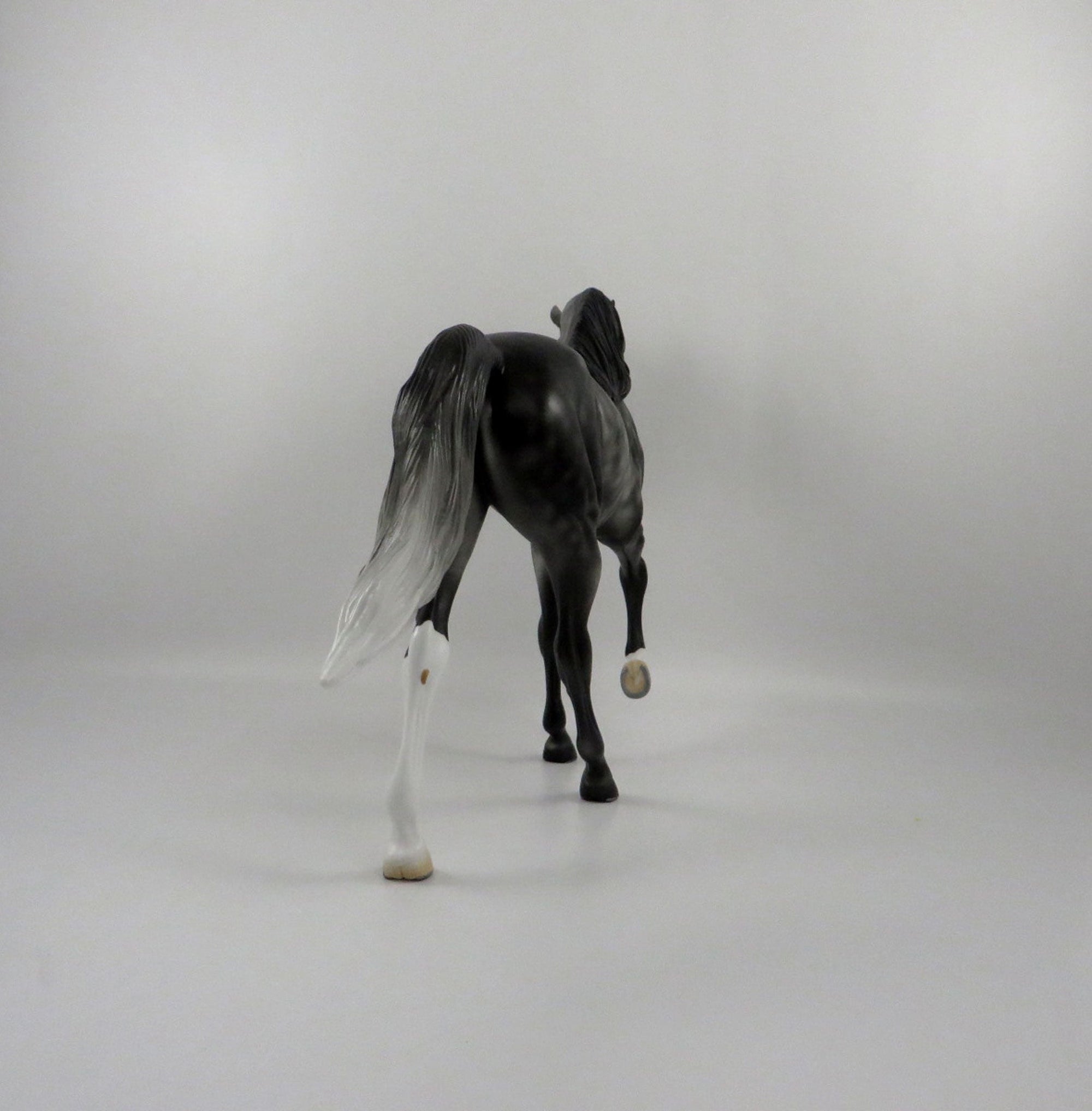 Finnegan-OOAK Dapple Grey Tennessee Walker  2/25/21