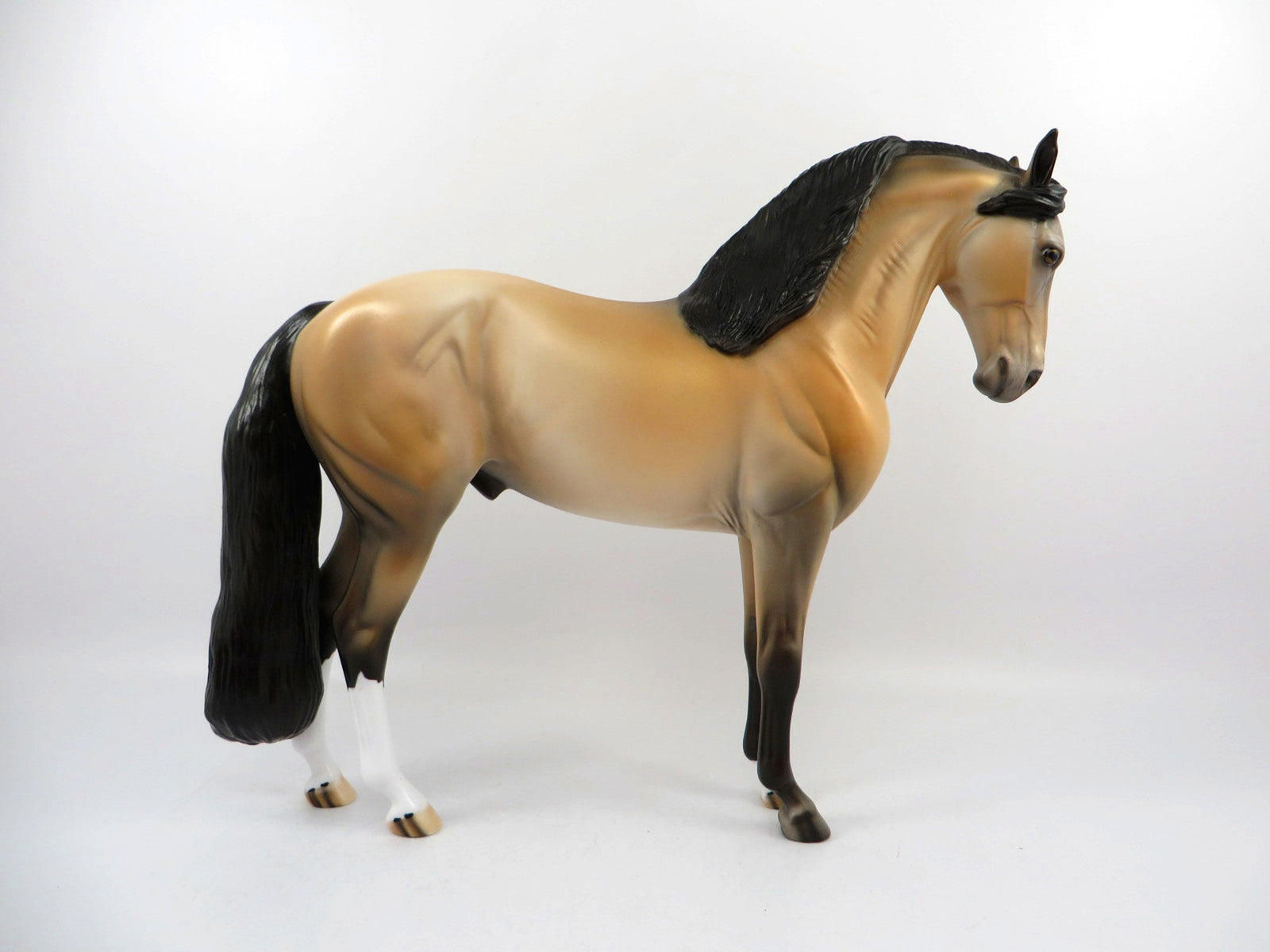 Fionn-OOAK Buckskin Andalusian Painted By Dawn Quick 4/13/21