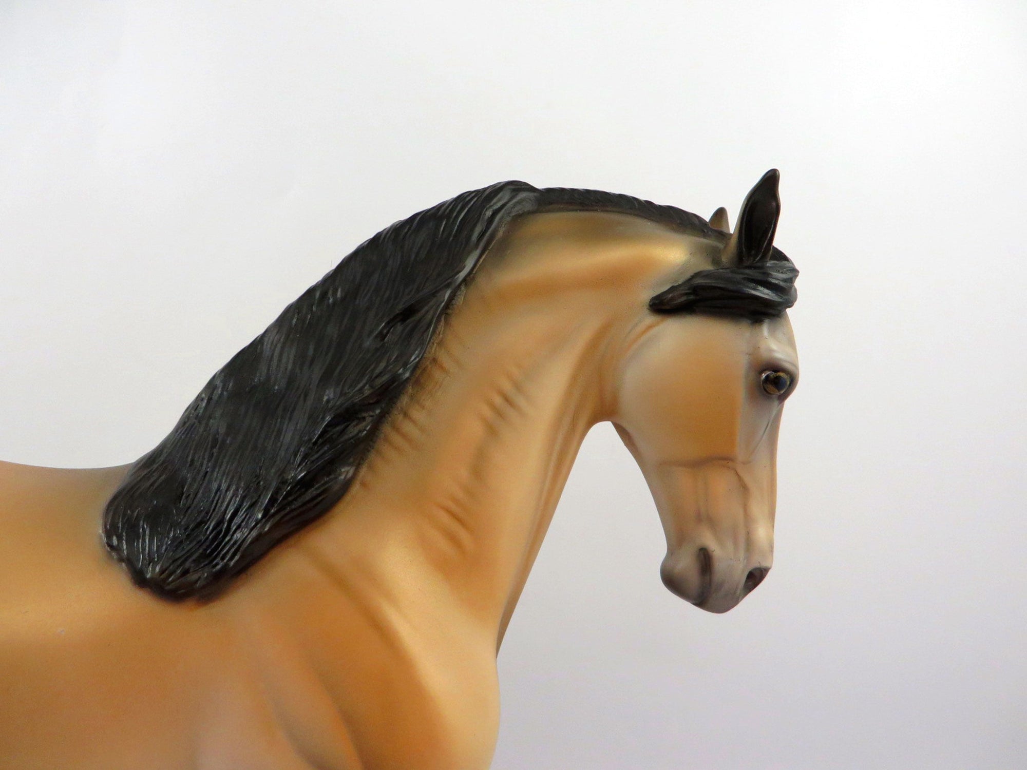 Fionn-OOAK Buckskin Andalusian Painted By Dawn Quick 4/13/21