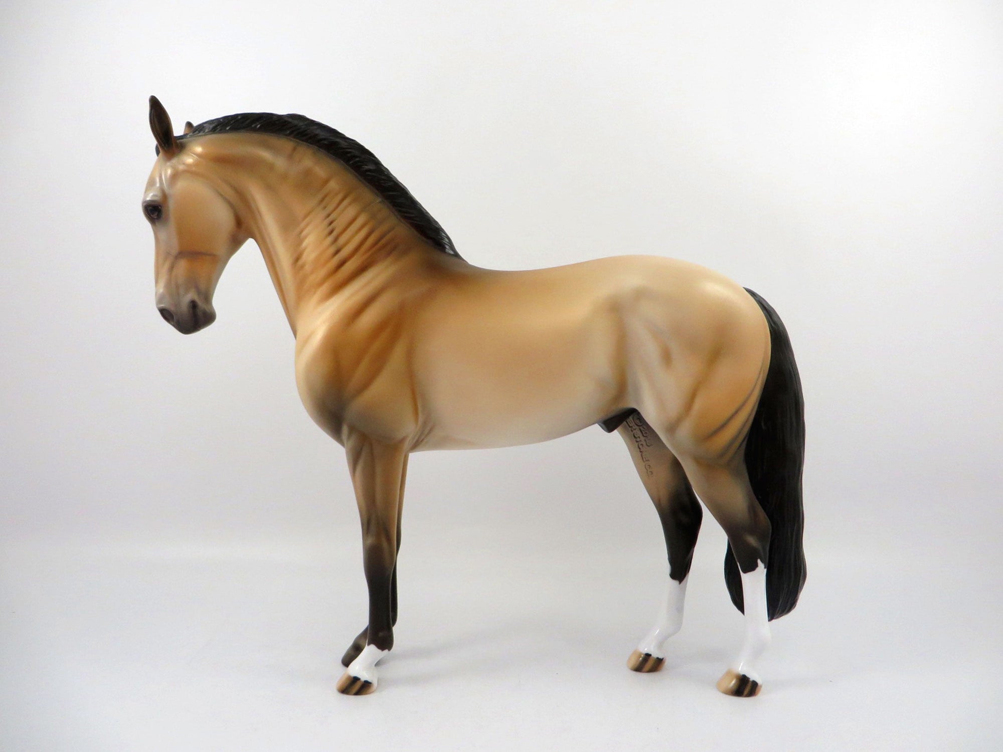 Fionn-OOAK Buckskin Andalusian Painted By Dawn Quick 4/13/21