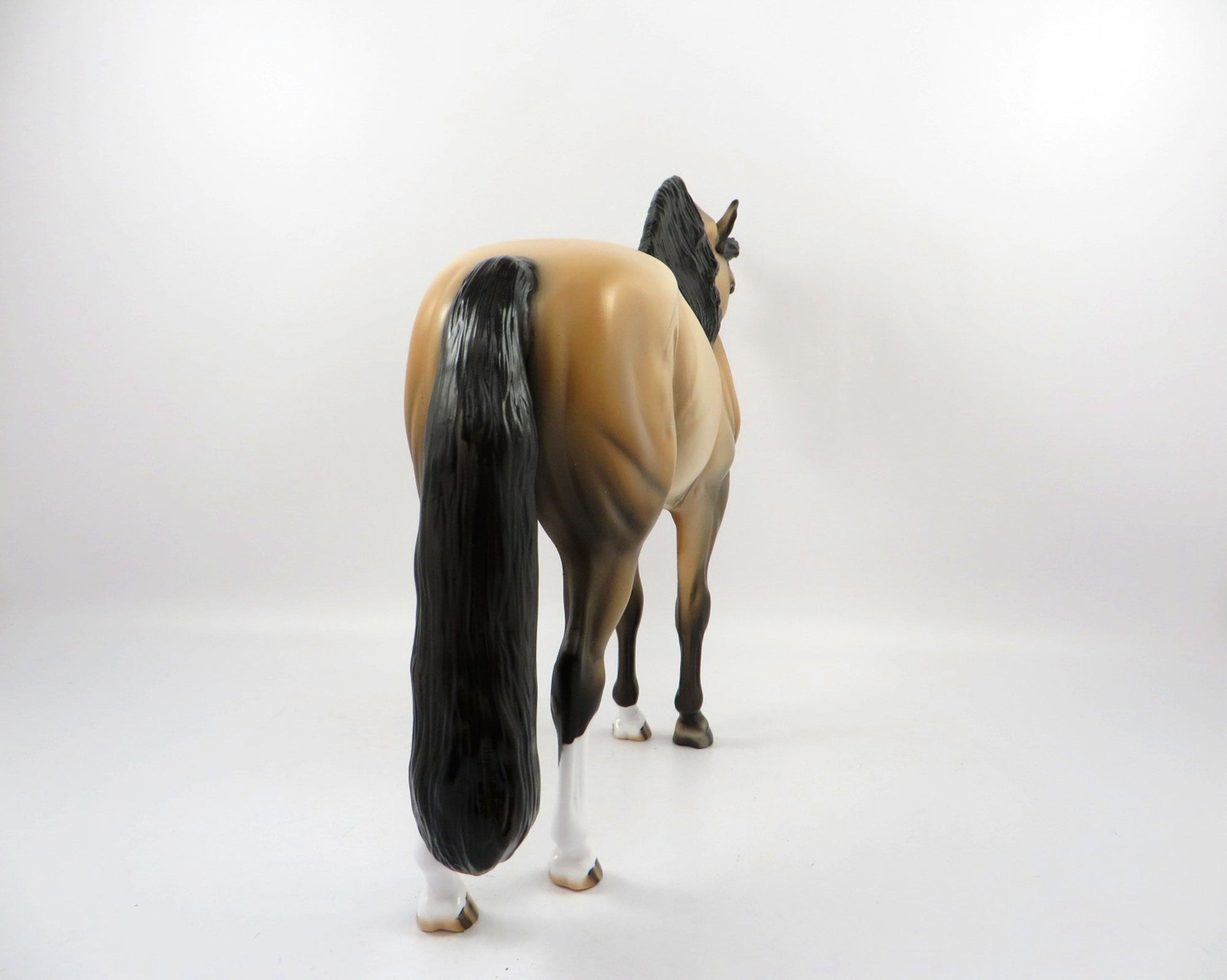 Fionn-OOAK Buckskin Andalusian Painted By Dawn Quick 4/13/21