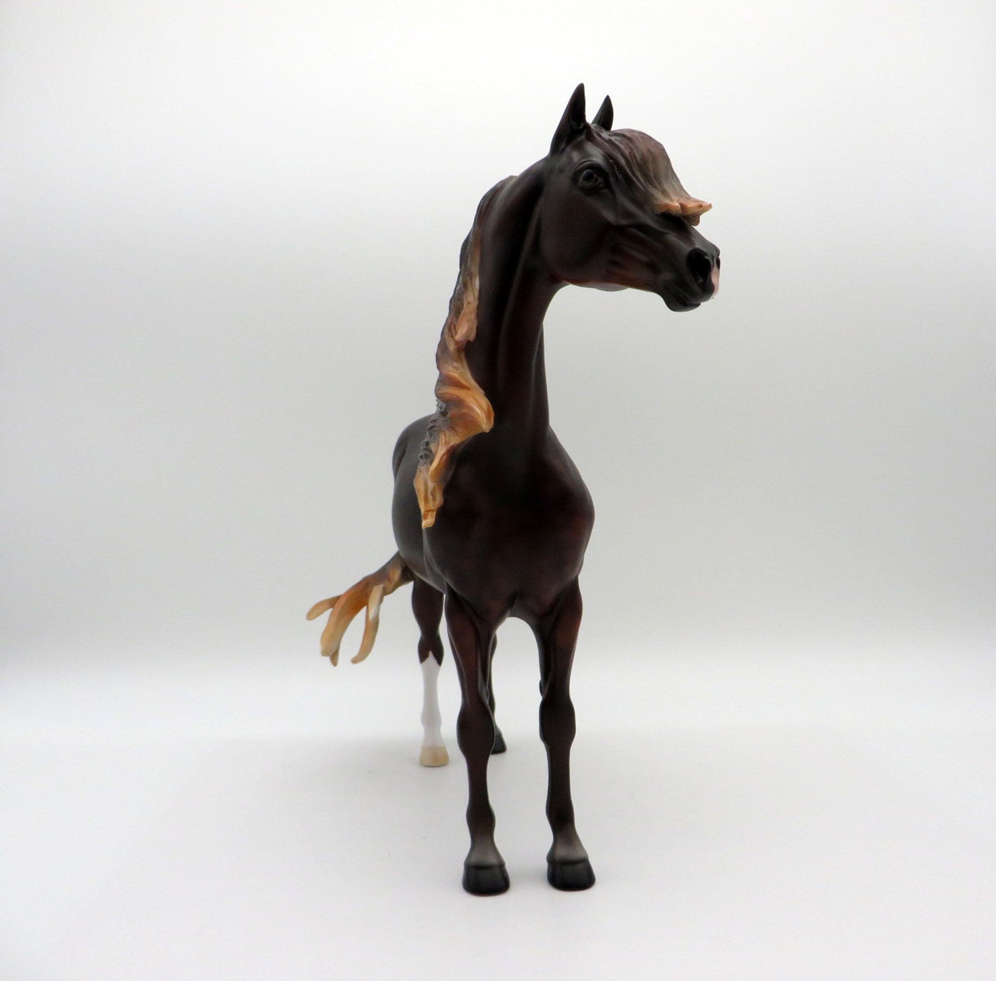 Firenze-OOAK Dapple Liver Chestnut Morgan Painted By Ellen Robbins  EQ 21