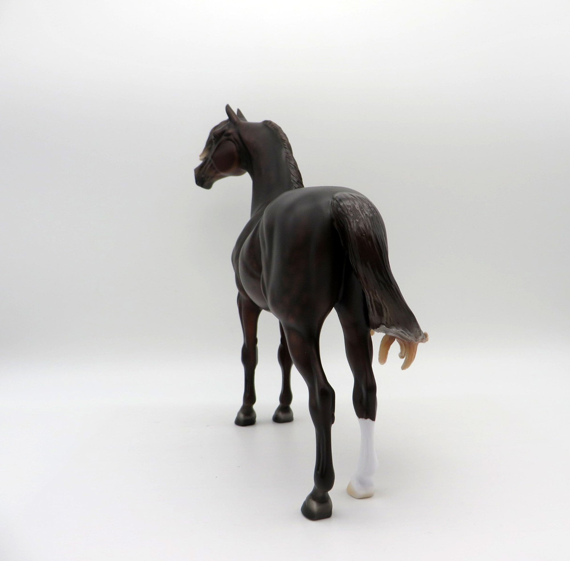 Firenze-OOAK Dapple Liver Chestnut Morgan Painted By Ellen Robbins  EQ 21