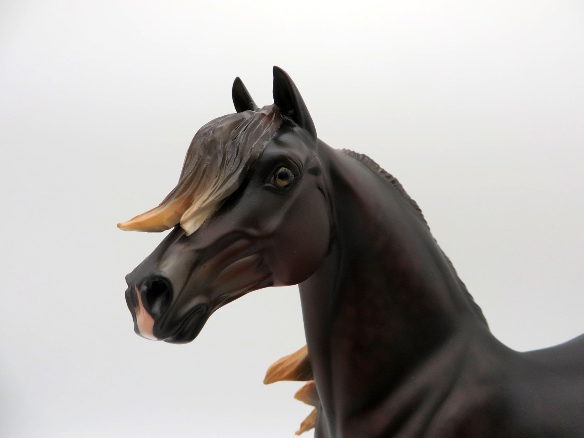 Firenze-OOAK Dapple Liver Chestnut Morgan Painted By Ellen Robbins  EQ 21