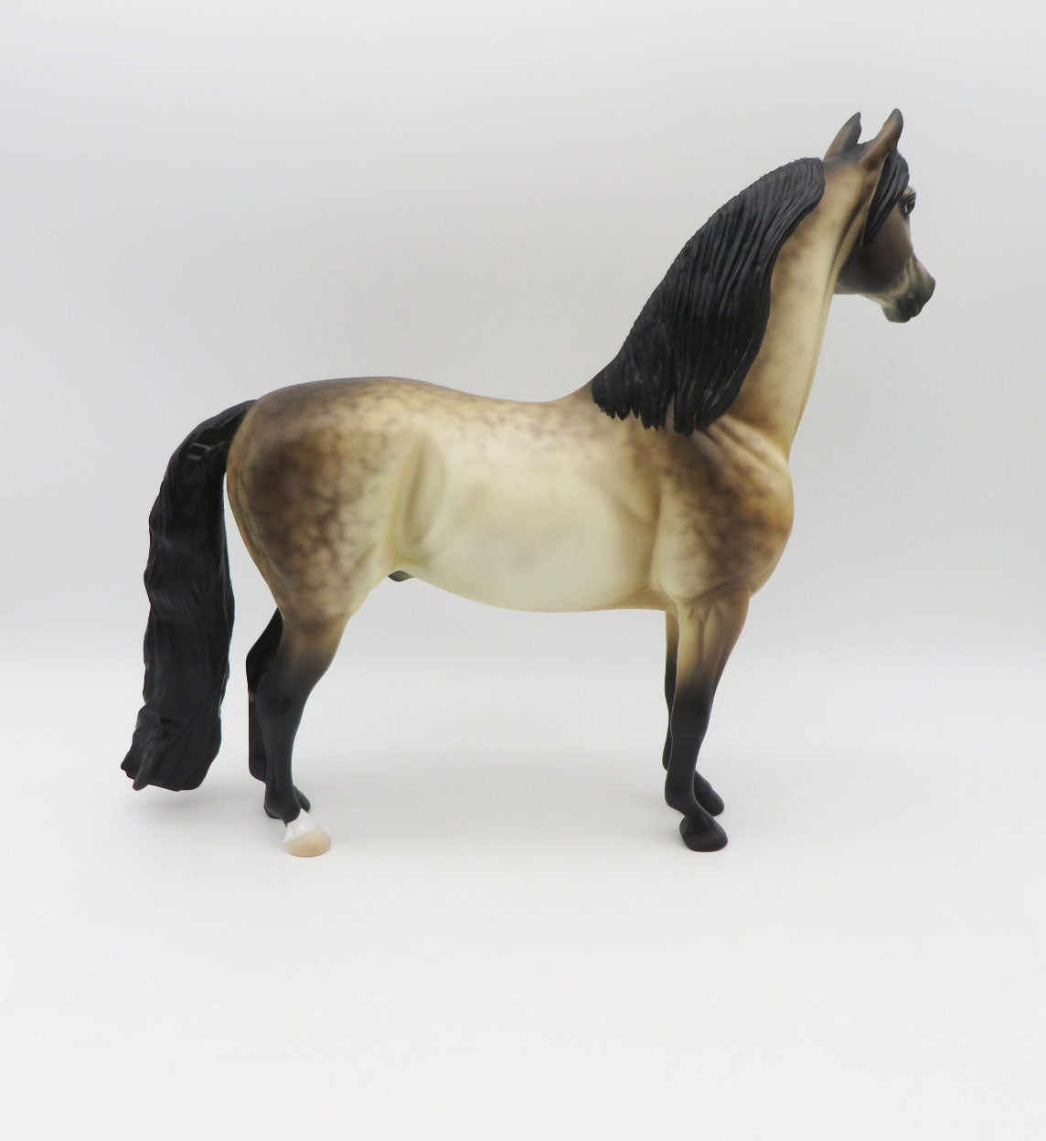 Fires at Midnight - LE 5 - Dappled Buckskin Morgan by Ellen Robbins - MM22