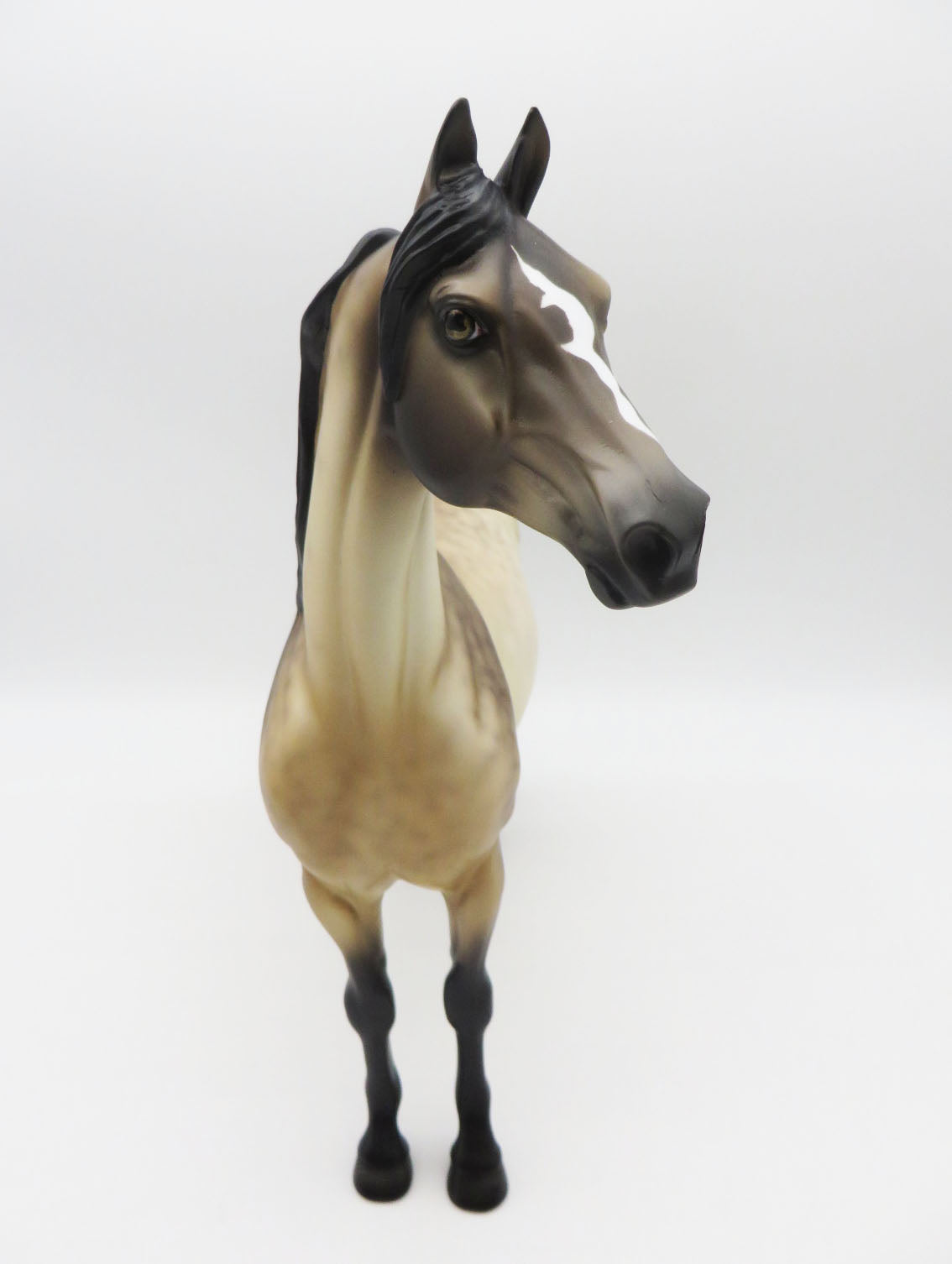 Fires at Midnight - LE 5 - Dappled Buckskin Morgan by Ellen Robbins - MM22