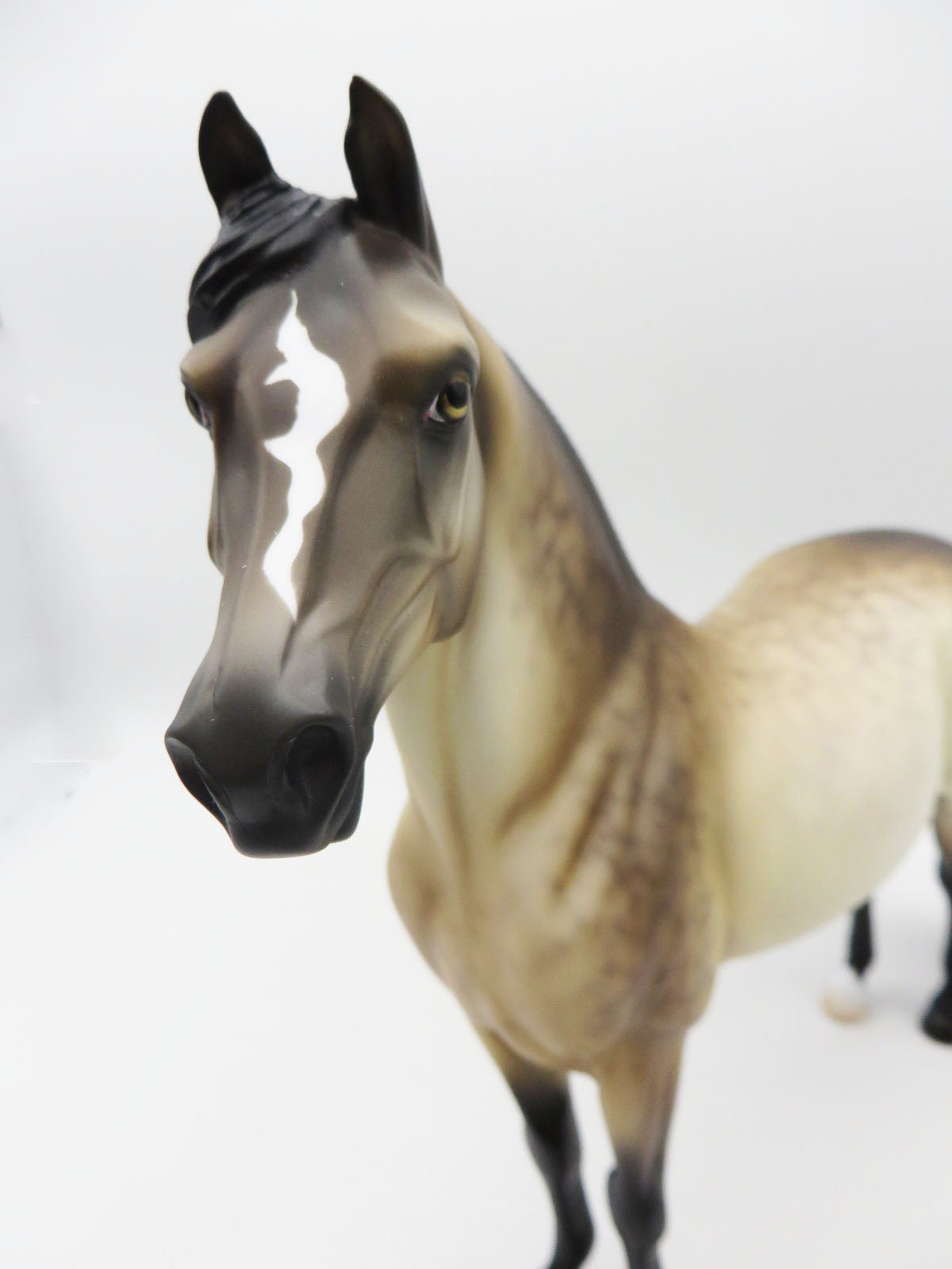 Fires at Midnight - LE 5 - Dappled Buckskin Morgan by Ellen Robbins - MM22