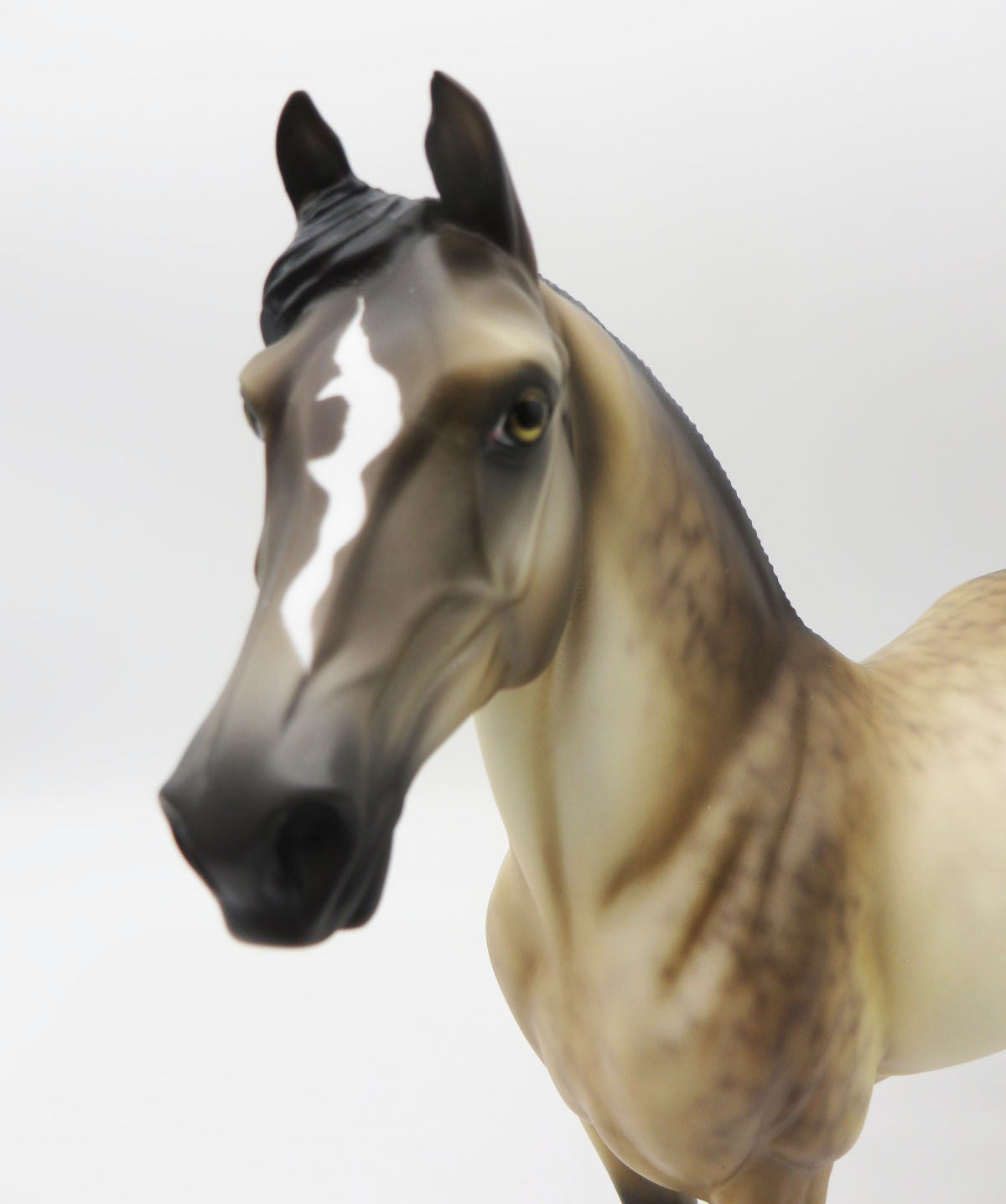 Fires at Midnight - LE 5 - Dappled Buckskin Morgan by Ellen Robbins - MM22