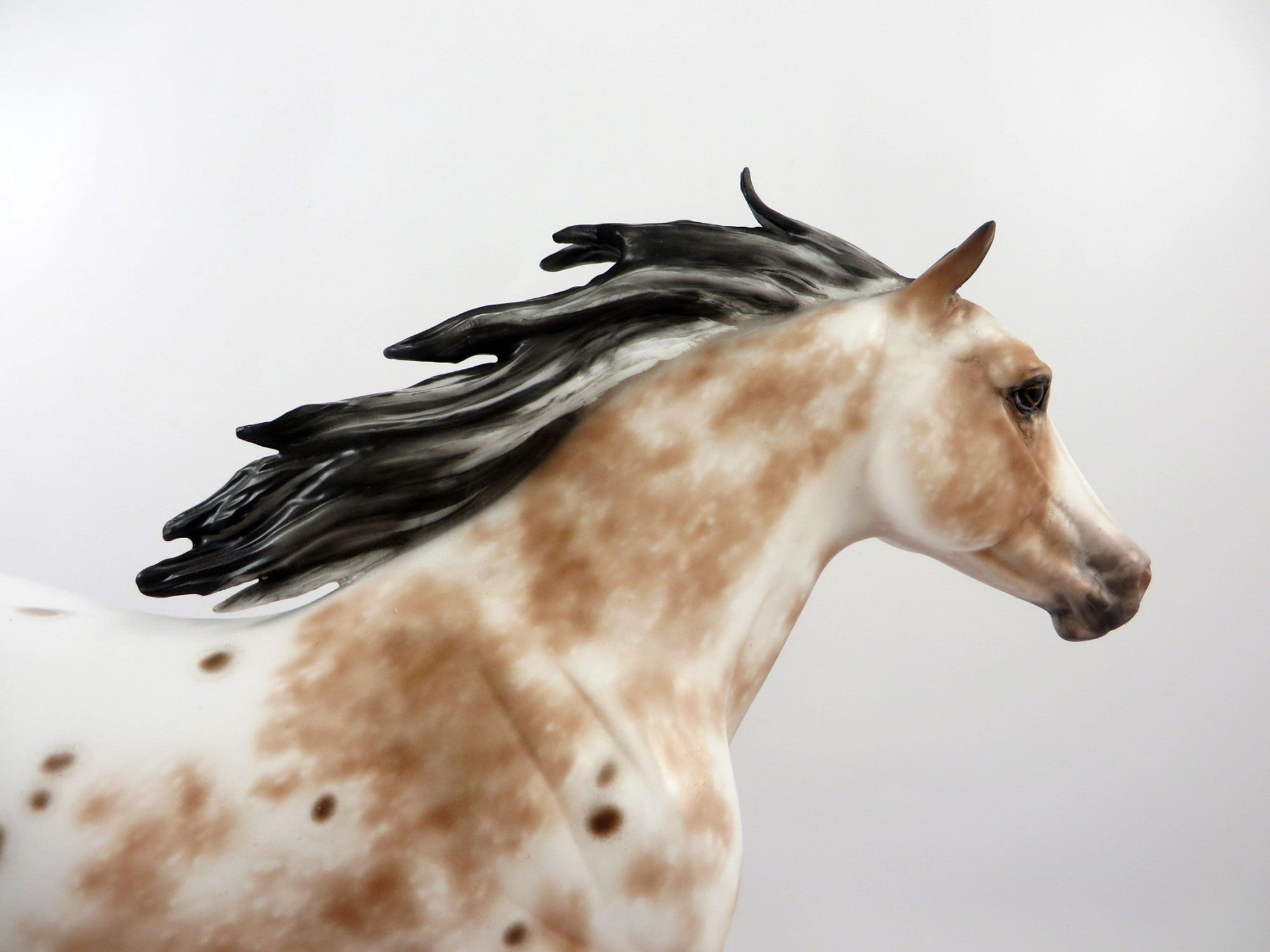 Fireonic-OOAK Bay Appaloosa Foundation Quarter Horse Painted By Sheryl Leisure