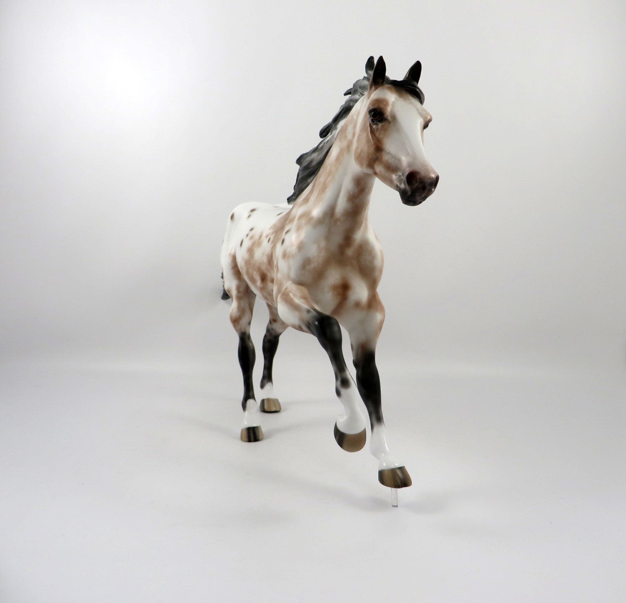 Fireonic-OOAK Bay Appaloosa Foundation Quarter Horse Painted By Sheryl Leisure