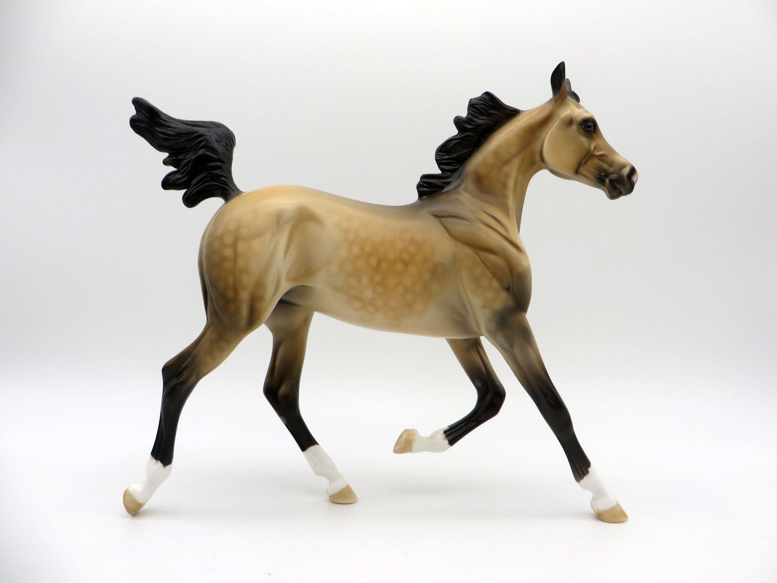 First Amendment | Dapple Buckskin Arab Yearling by Dawn Quick | 7/1/21