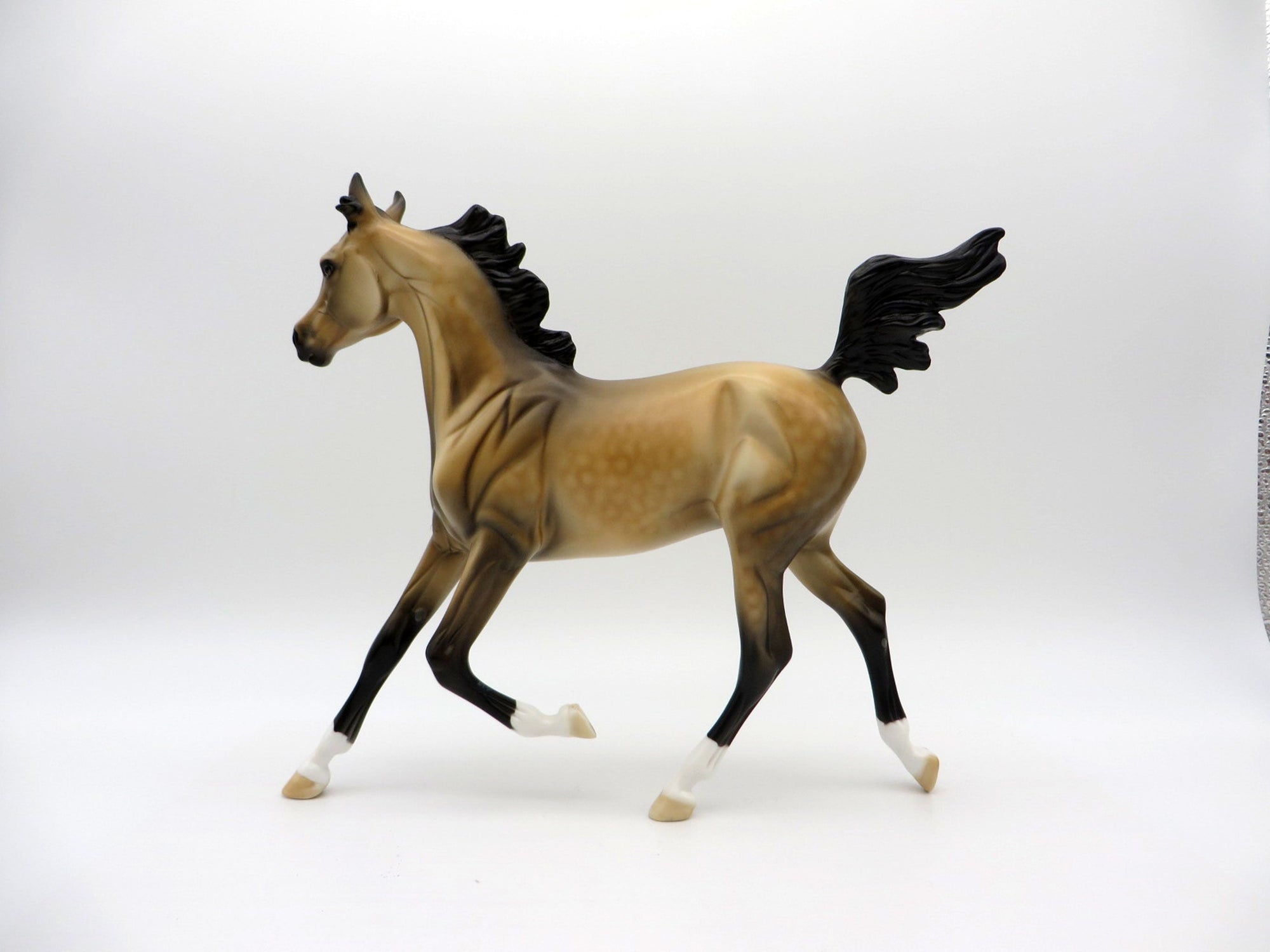 First Amendment | Dapple Buckskin Arab Yearling by Dawn Quick | 7/1/21