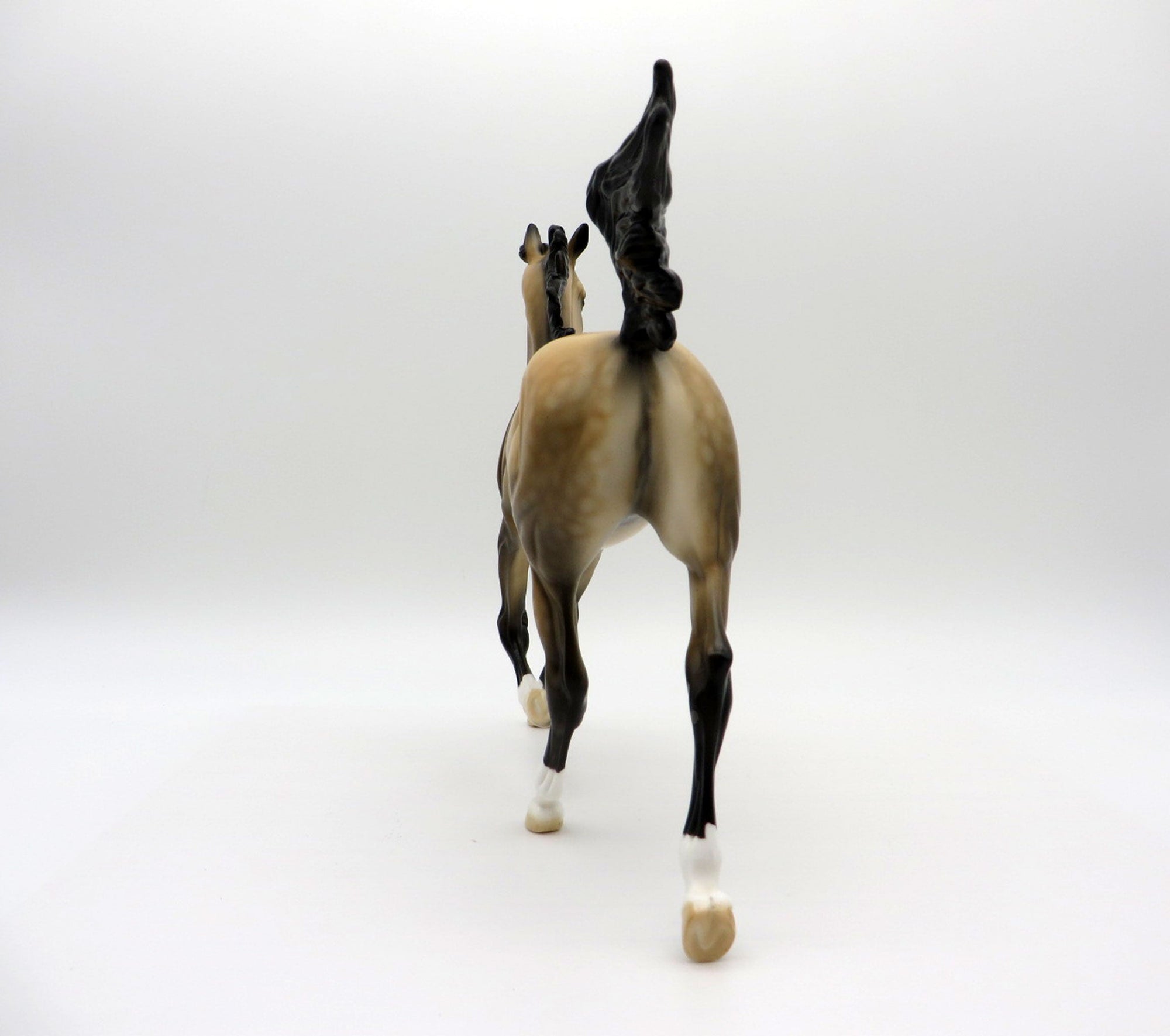 First Amendment | Dapple Buckskin Arab Yearling by Dawn Quick | 7/1/21