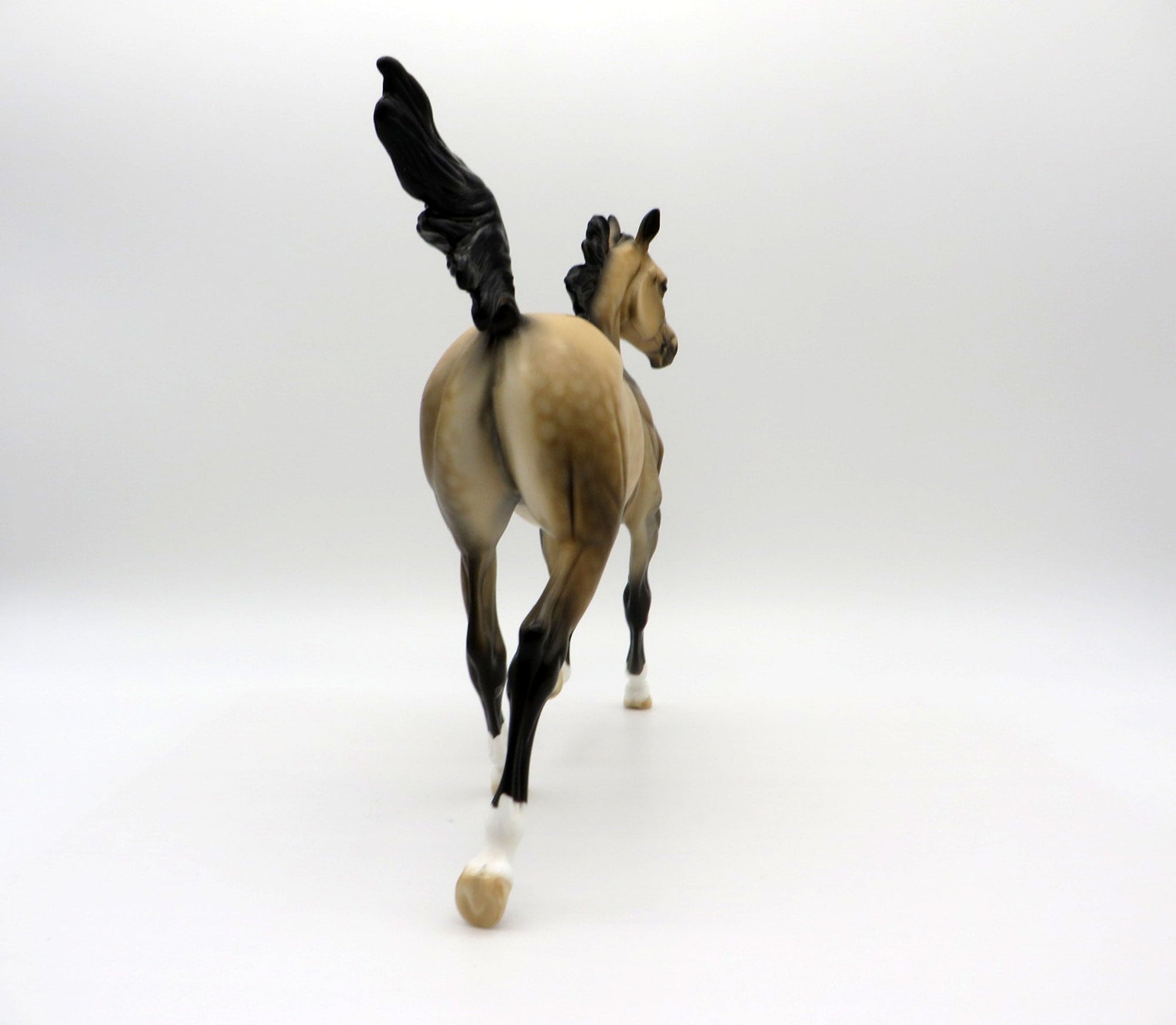 First Amendment | Dapple Buckskin Arab Yearling by Dawn Quick | 7/1/21