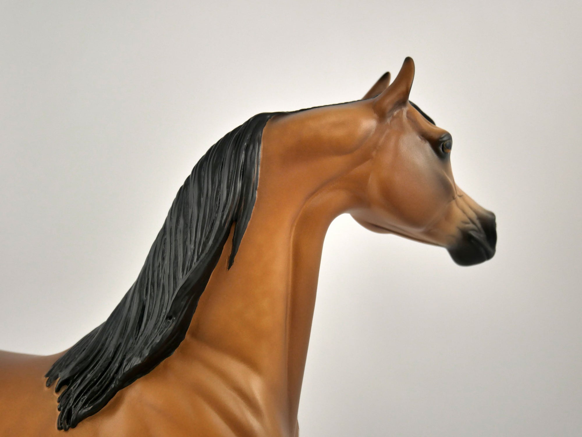 FITZGERALD-OOAK DAPPLE BAY ARABIAN BY SHERYL LEISURE 11/11/20