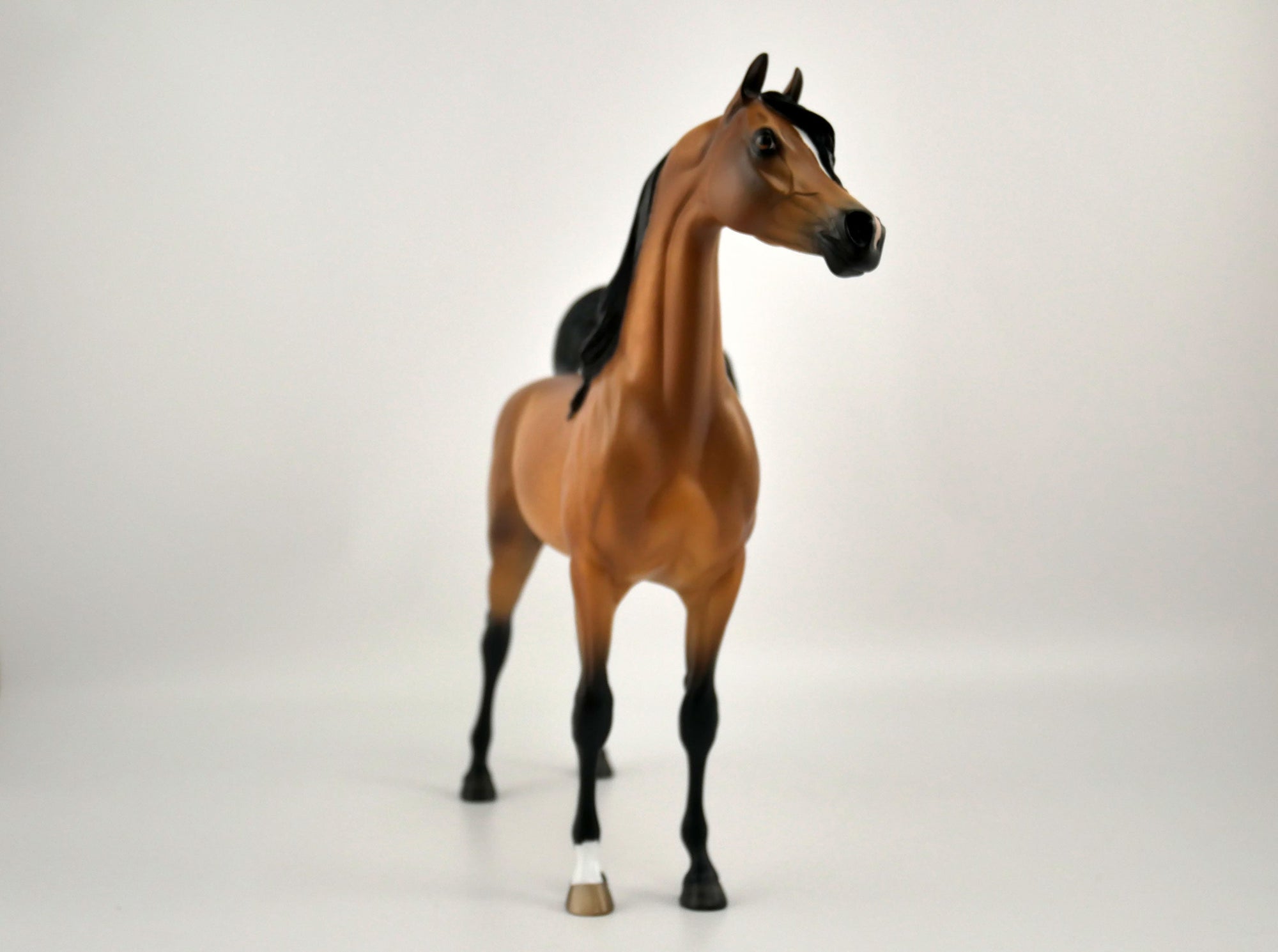 FITZGERALD-OOAK DAPPLE BAY ARABIAN BY SHERYL LEISURE 11/11/20