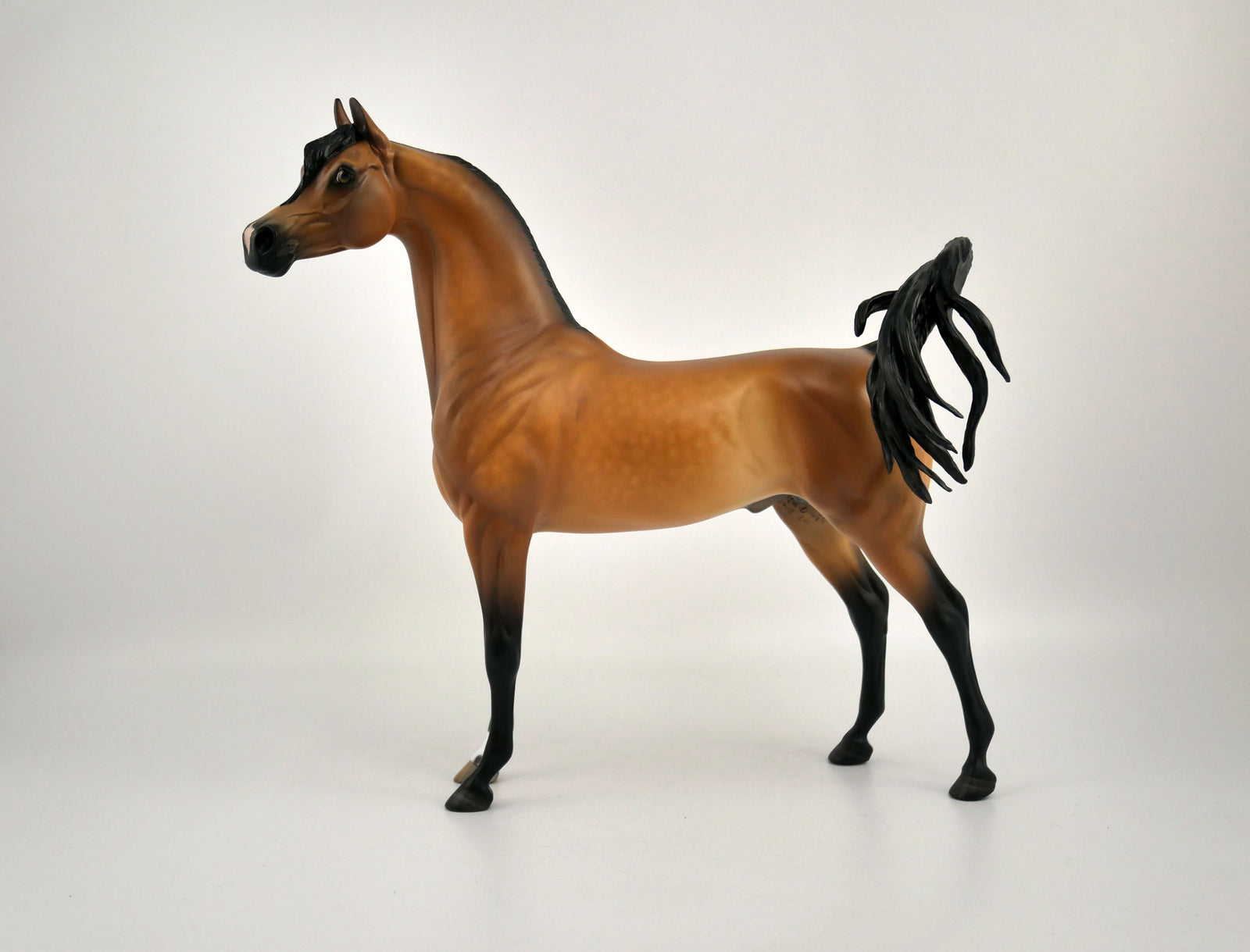 FITZGERALD-OOAK DAPPLE BAY ARABIAN BY SHERYL LEISURE 11/11/20