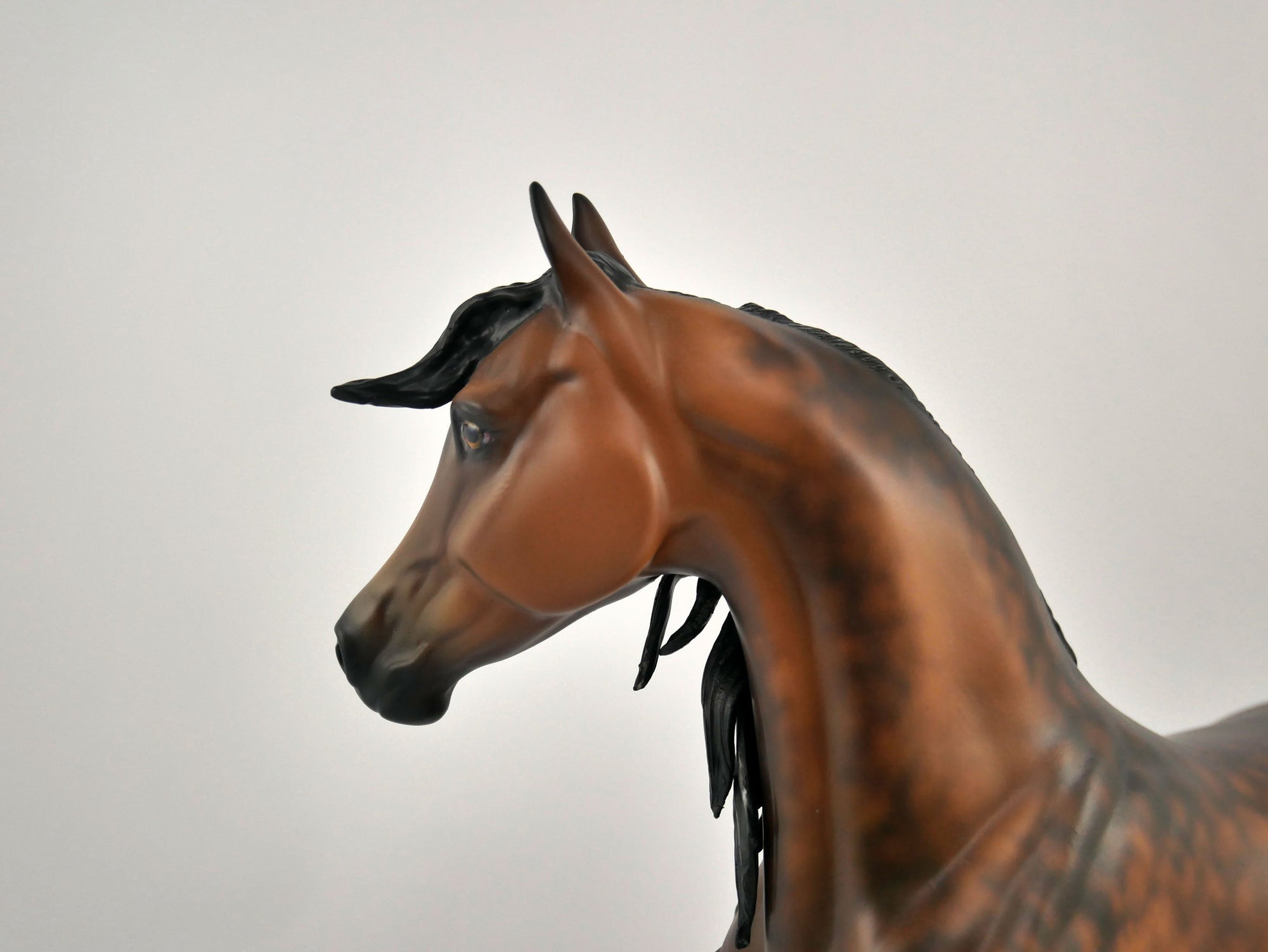 FLANNERY-OOAK DAPPLE BAY MARE BY SHERYL LEISURE 11/11/20