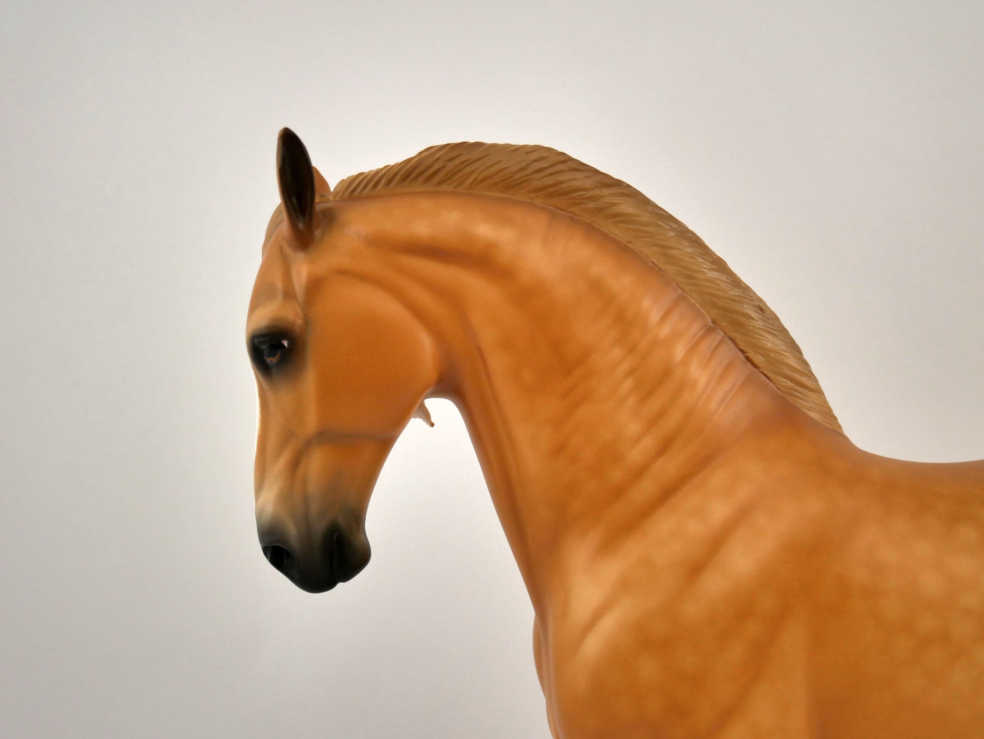 FLAVIAN-OOAK LIGHT CHESTNUT ANDY BY SHERYL LEISURE 11/11/20