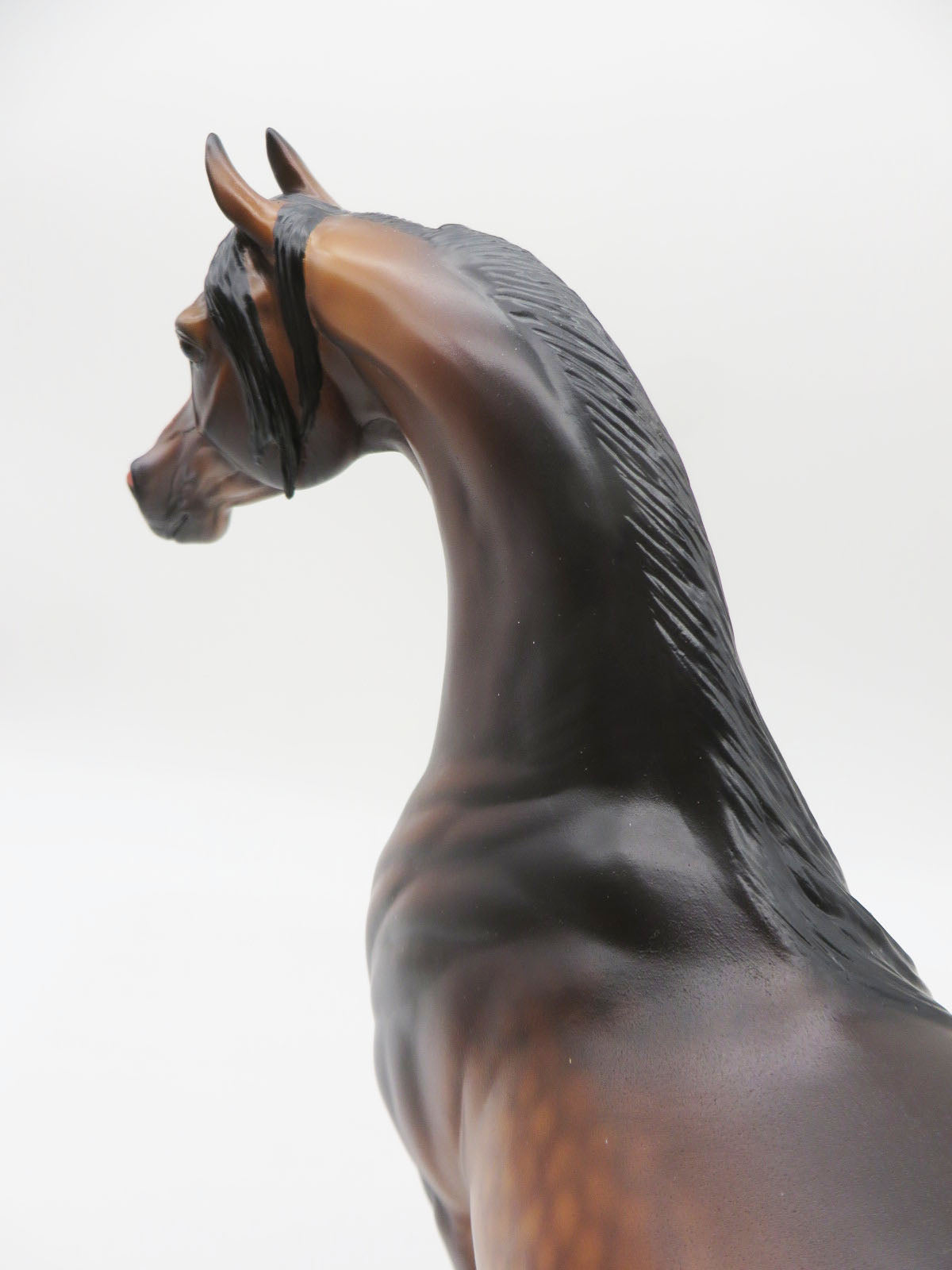 Fleetwood - OOAK Dapple Mahogony Bay Arabian  By Caroline Boydston 11/21/22