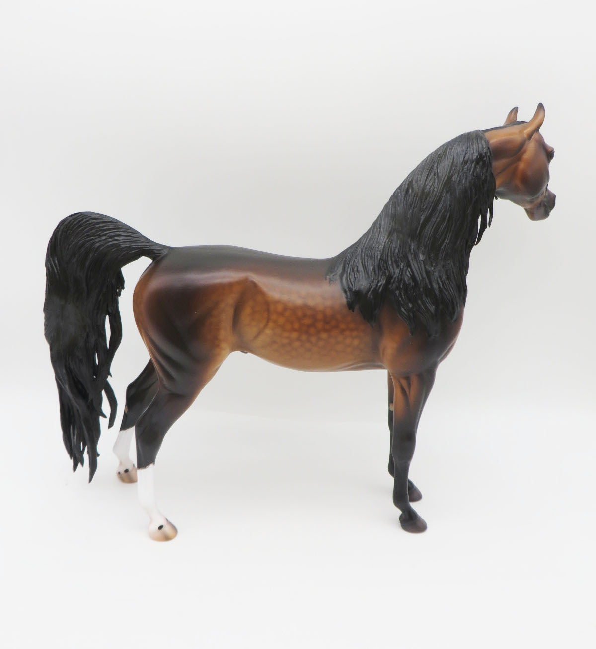 Fleetwood - OOAK Dapple Mahogony Bay Arabian  By Caroline Boydston 11/21/22