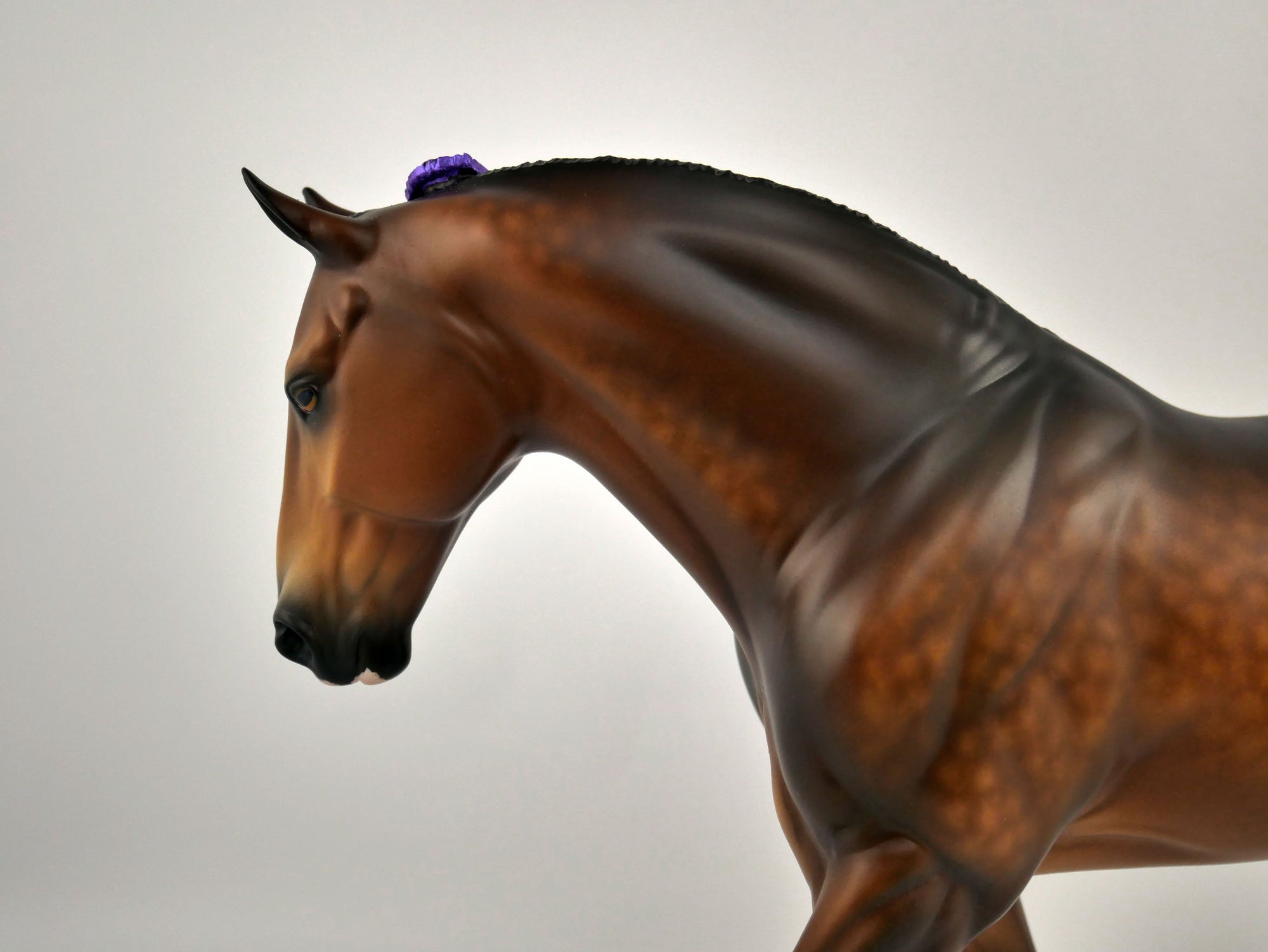 FLEETWOOD-OOAK DAPPLE BAY IRISH DRAFT BY SHERYL LEISURE 11/11/20