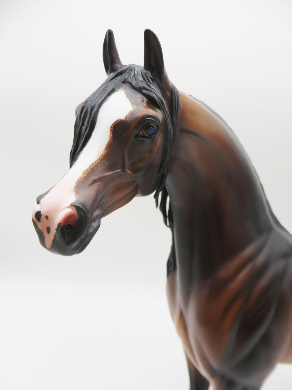 Fleetwood - OOAK Dapple Mahogony Bay Arabian  By Caroline Boydston 11/21/22