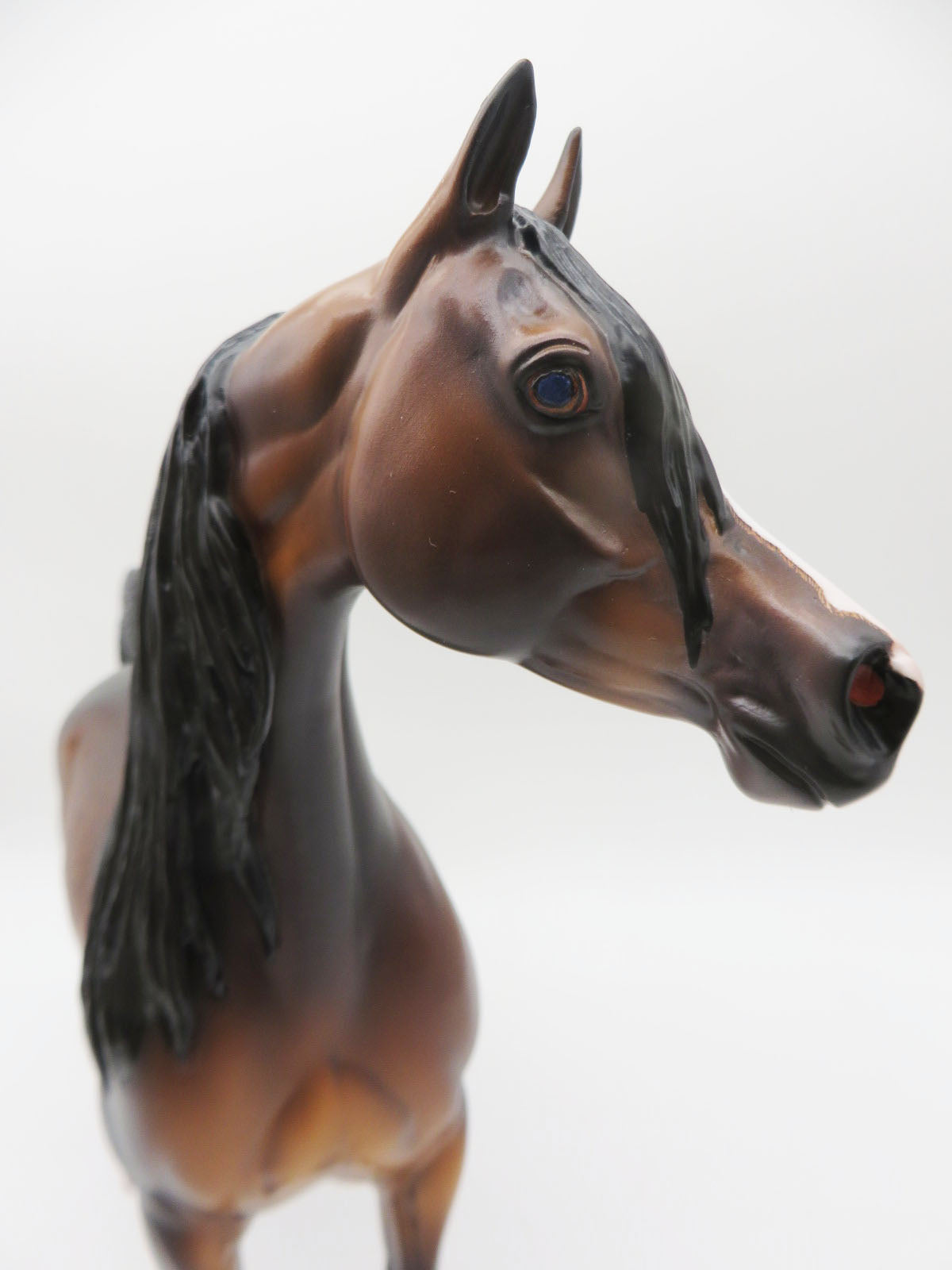 Fleetwood - OOAK Dapple Mahogony Bay Arabian  By Caroline Boydston 11/21/22