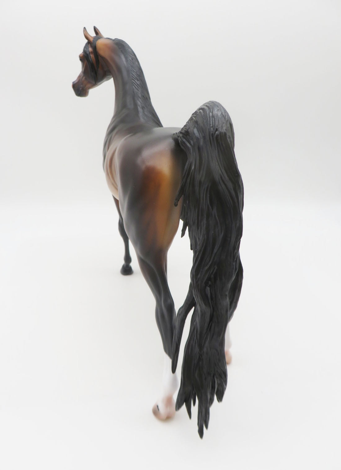 Fleetwood - OOAK Dapple Mahogony Bay Arabian  By Caroline Boydston 11/21/22