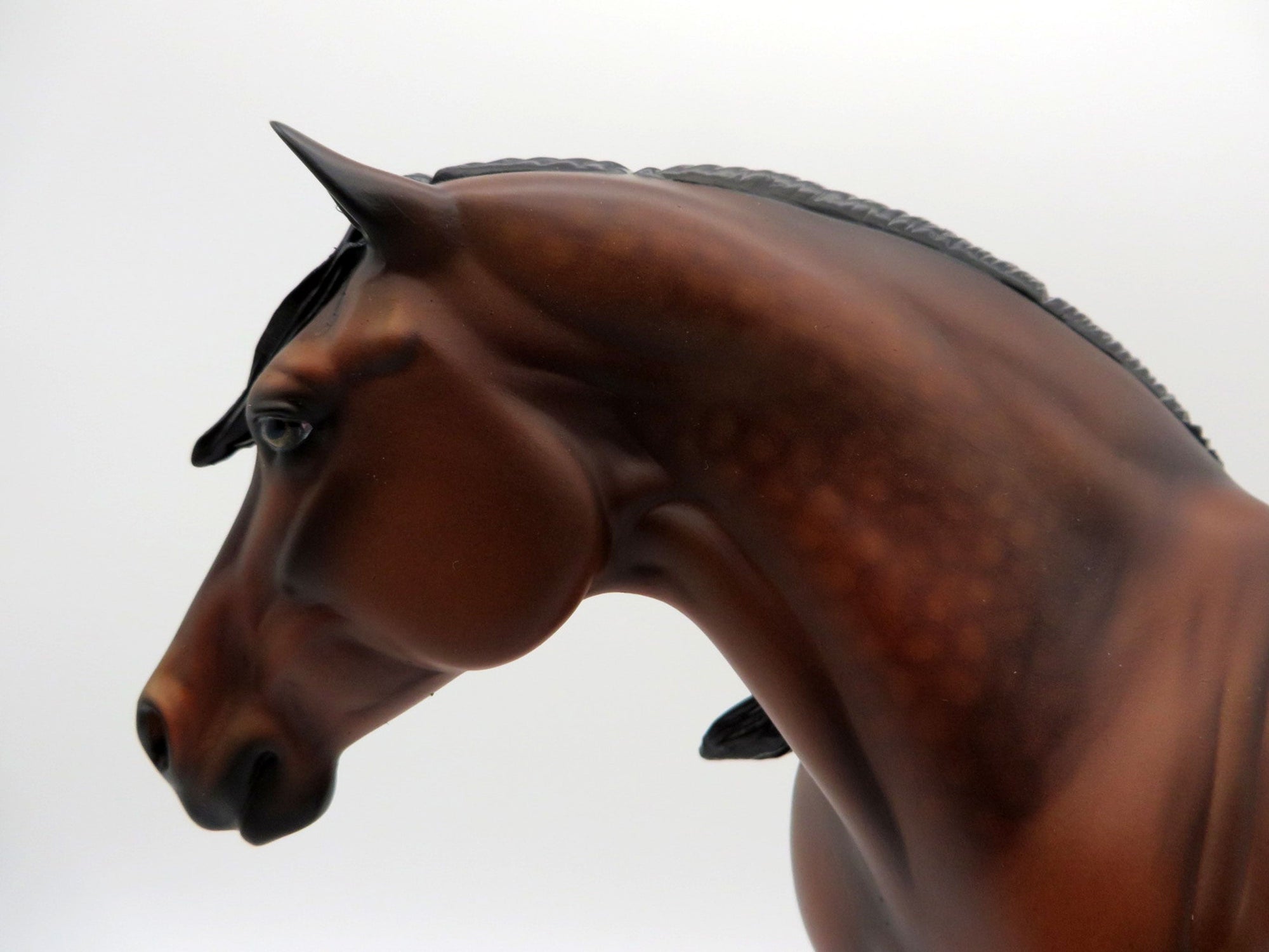 Fleur-OOAK Dapple Bay Paint Heavy Draft Mare SHCF 2021