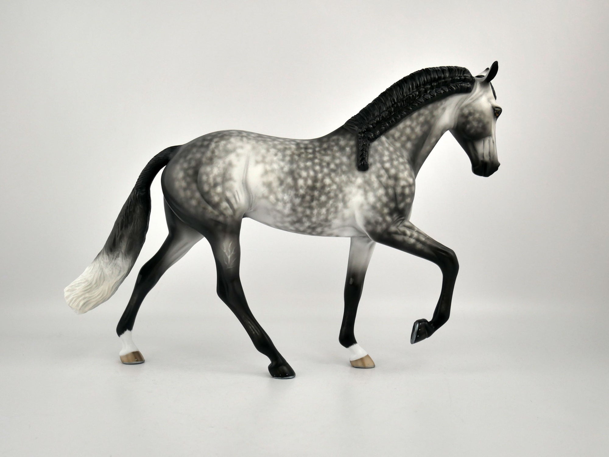 FLORIAN-OOAK DAPPLE GREY TWH BY SHERYL LEISURE 12/03/20