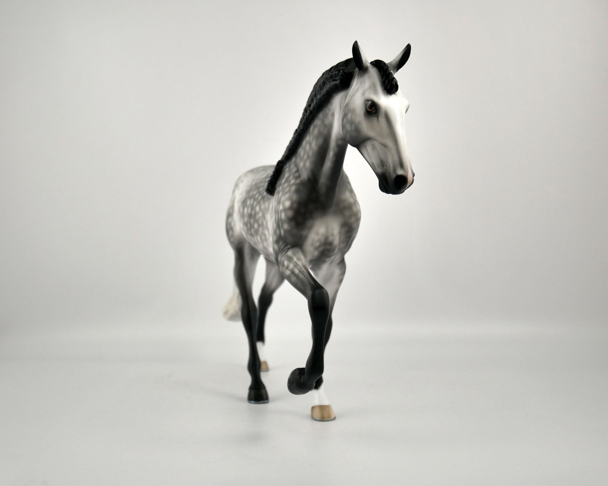 FLORIAN-OOAK DAPPLE GREY TWH BY SHERYL LEISURE 12/03/20