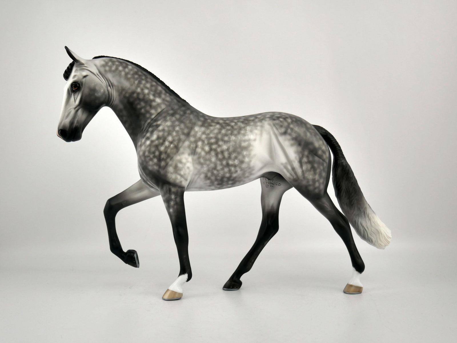 FLORIAN-OOAK DAPPLE GREY TWH BY SHERYL LEISURE 12/03/20