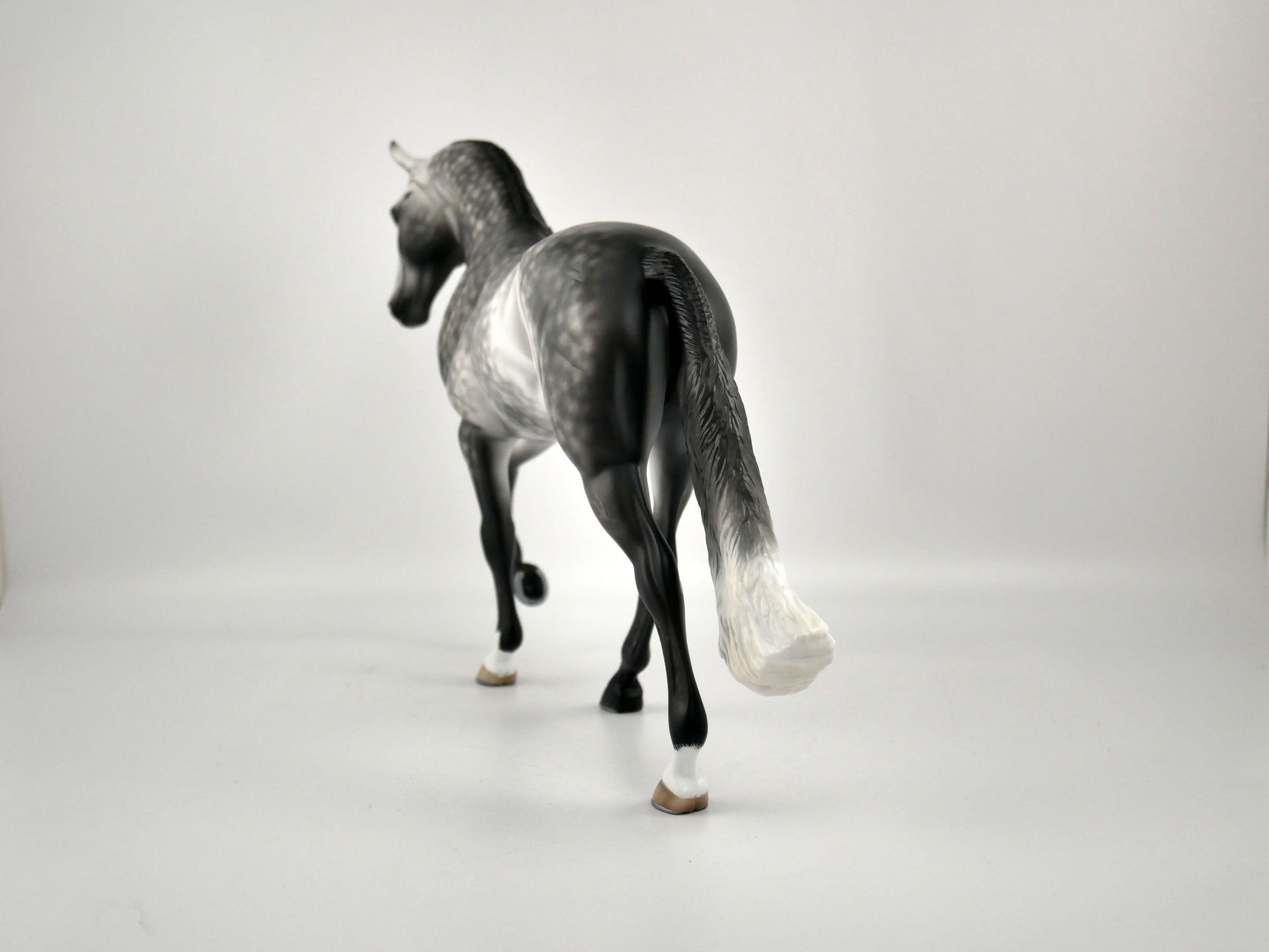 FLORIAN-OOAK DAPPLE GREY TWH BY SHERYL LEISURE 12/03/20