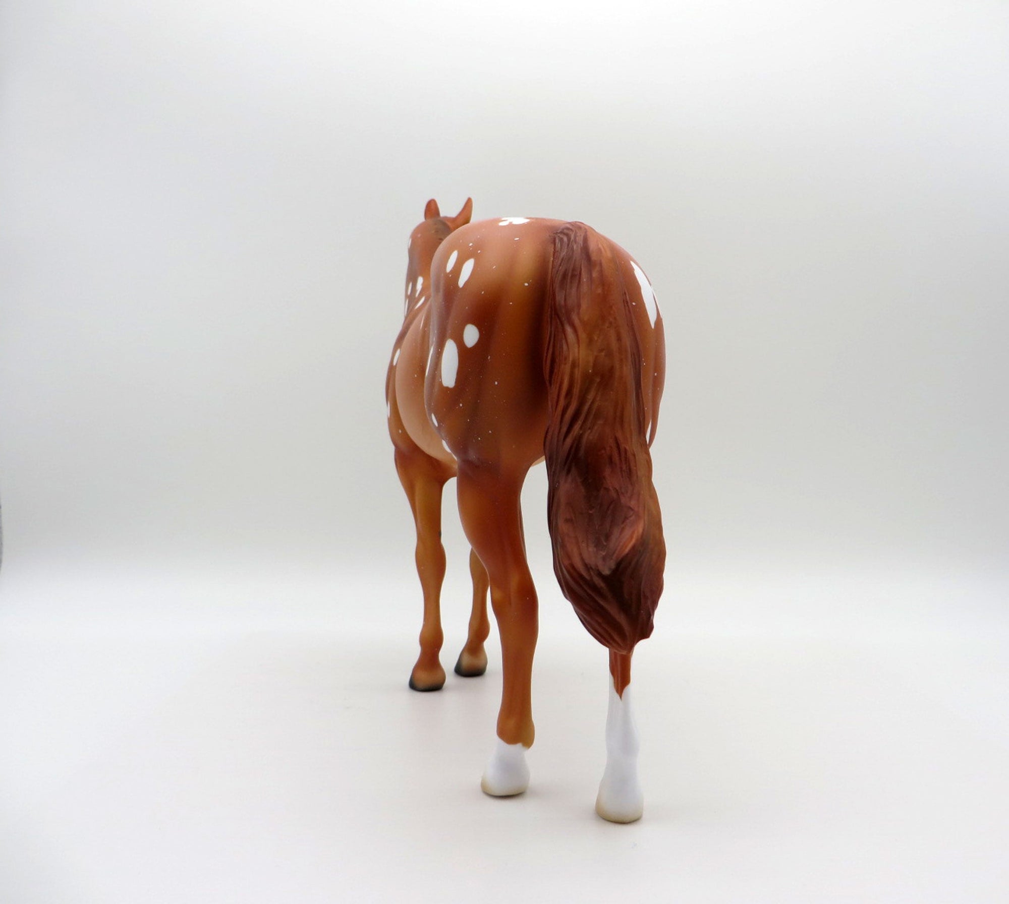 Flurry Snowflake Appaloosa ISH  SHCF 2021