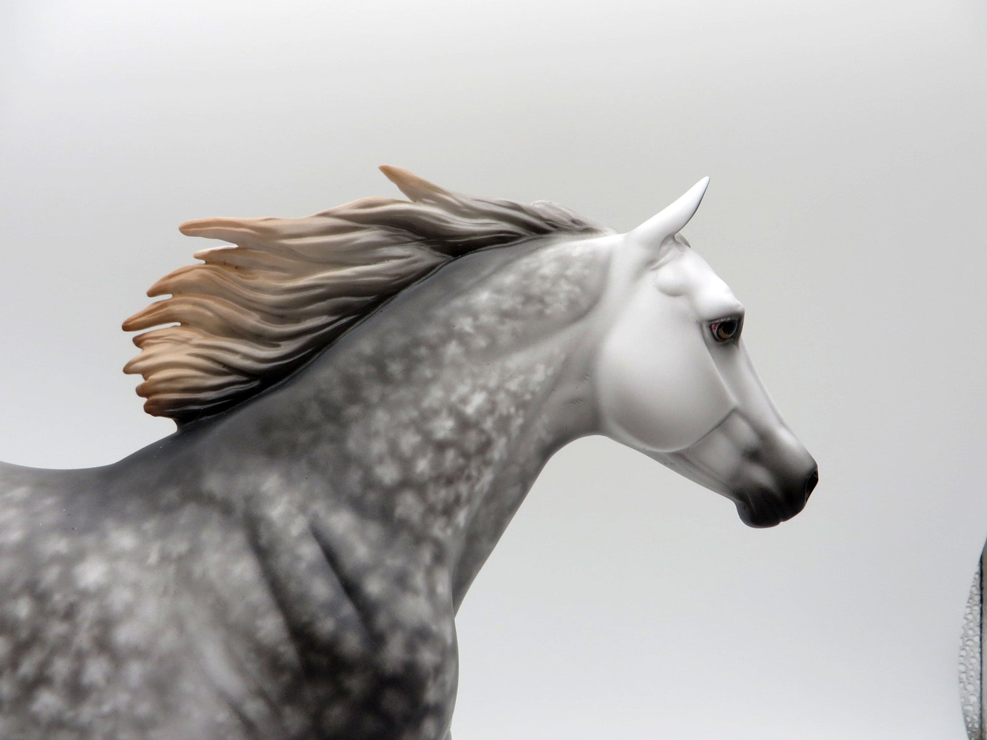 Fly Off the Handle-OOAK Dapple Grey FQH Painted by Sheryl Leisure 5/21